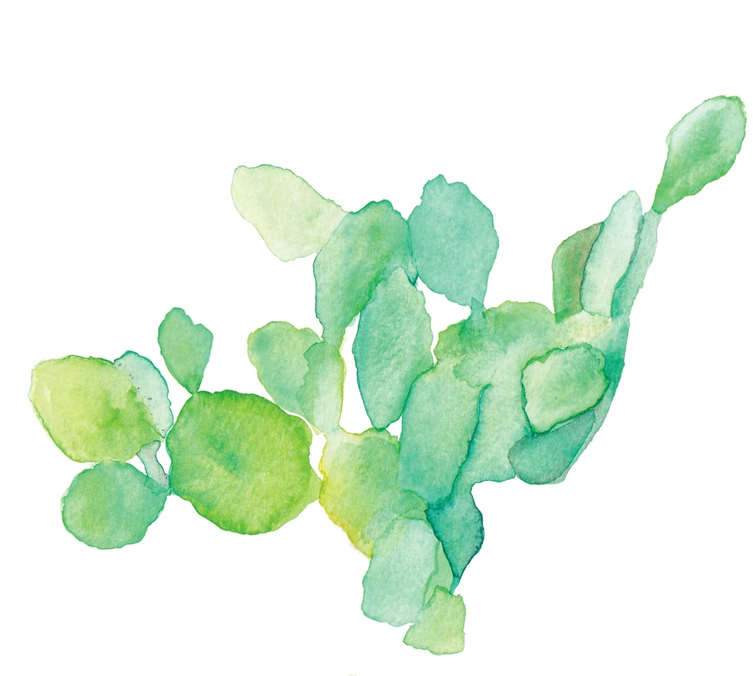 Cactus watercolor painting