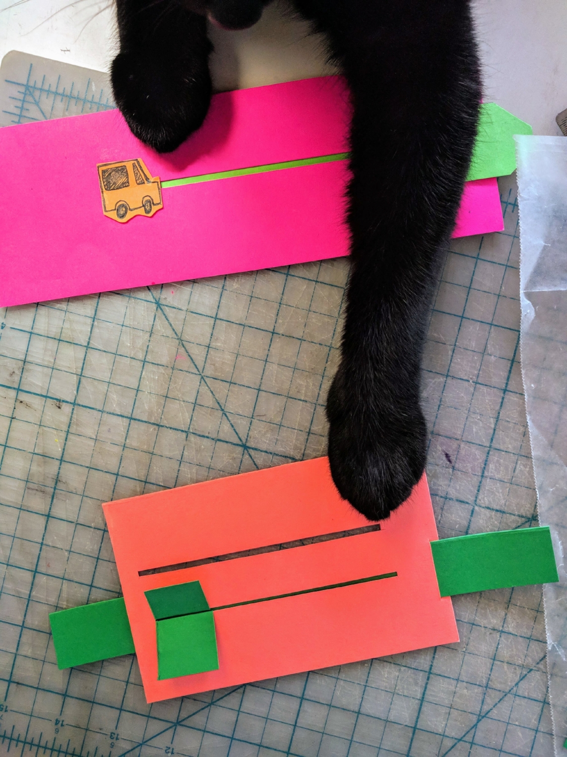 Meows did not approve of my research.