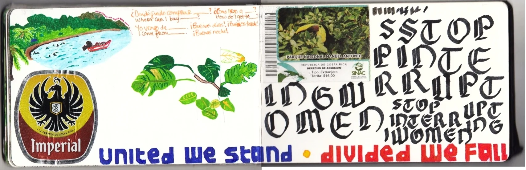 My sketchbook drawings/documentation from Costa Rica plus some calligraphy practice. 