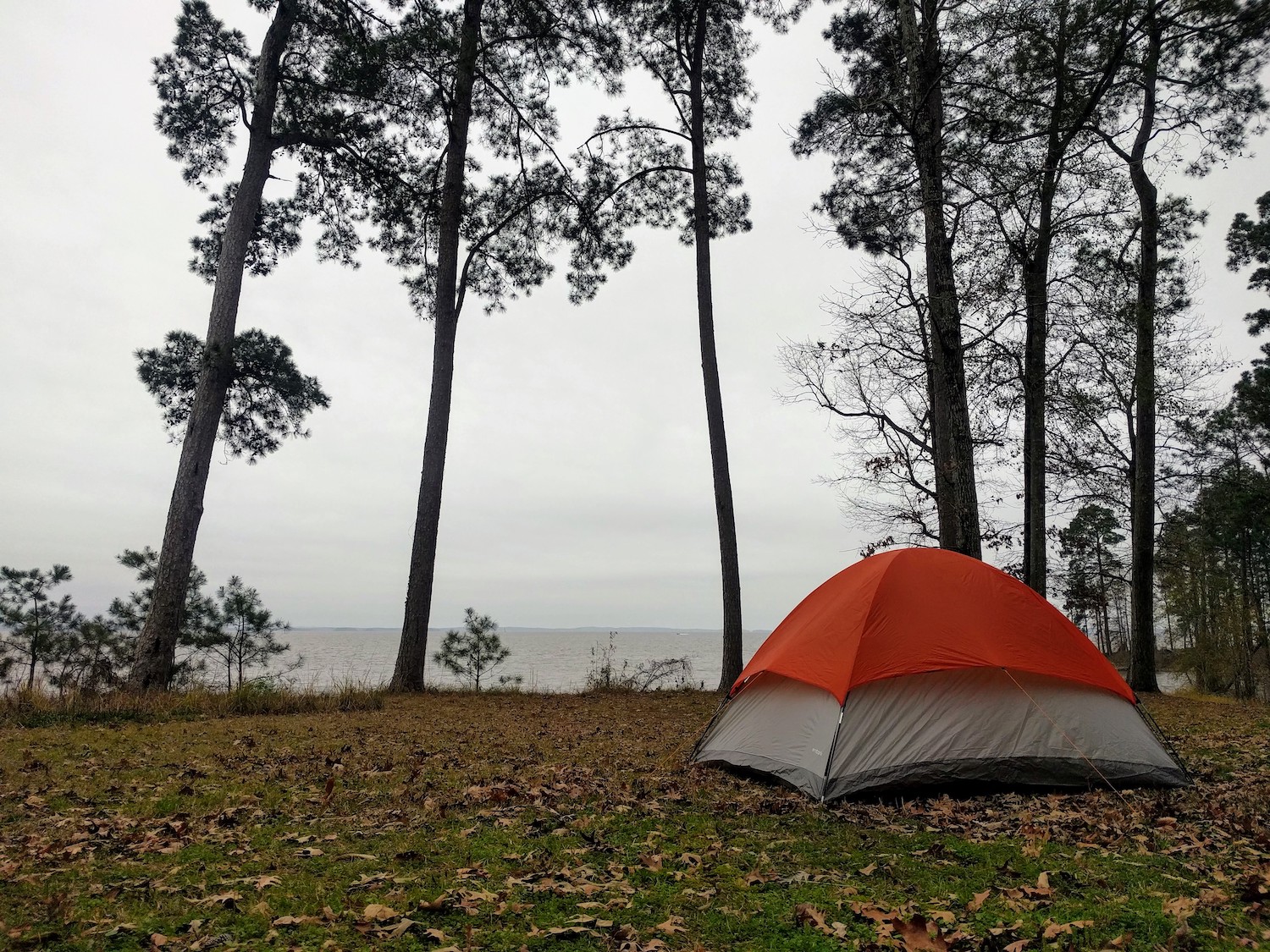  Our tent set up at our waterfront campsite in the Sabine National Forest. You can see Louisiana across the water. 