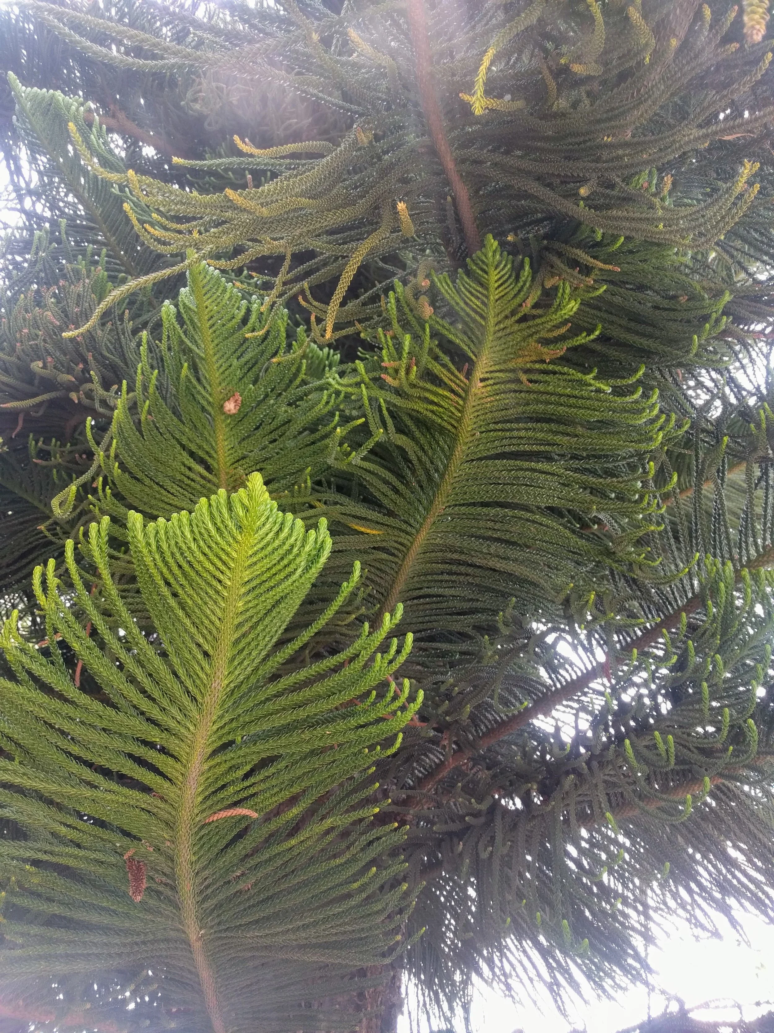 IMG_20190503_112718.jpg