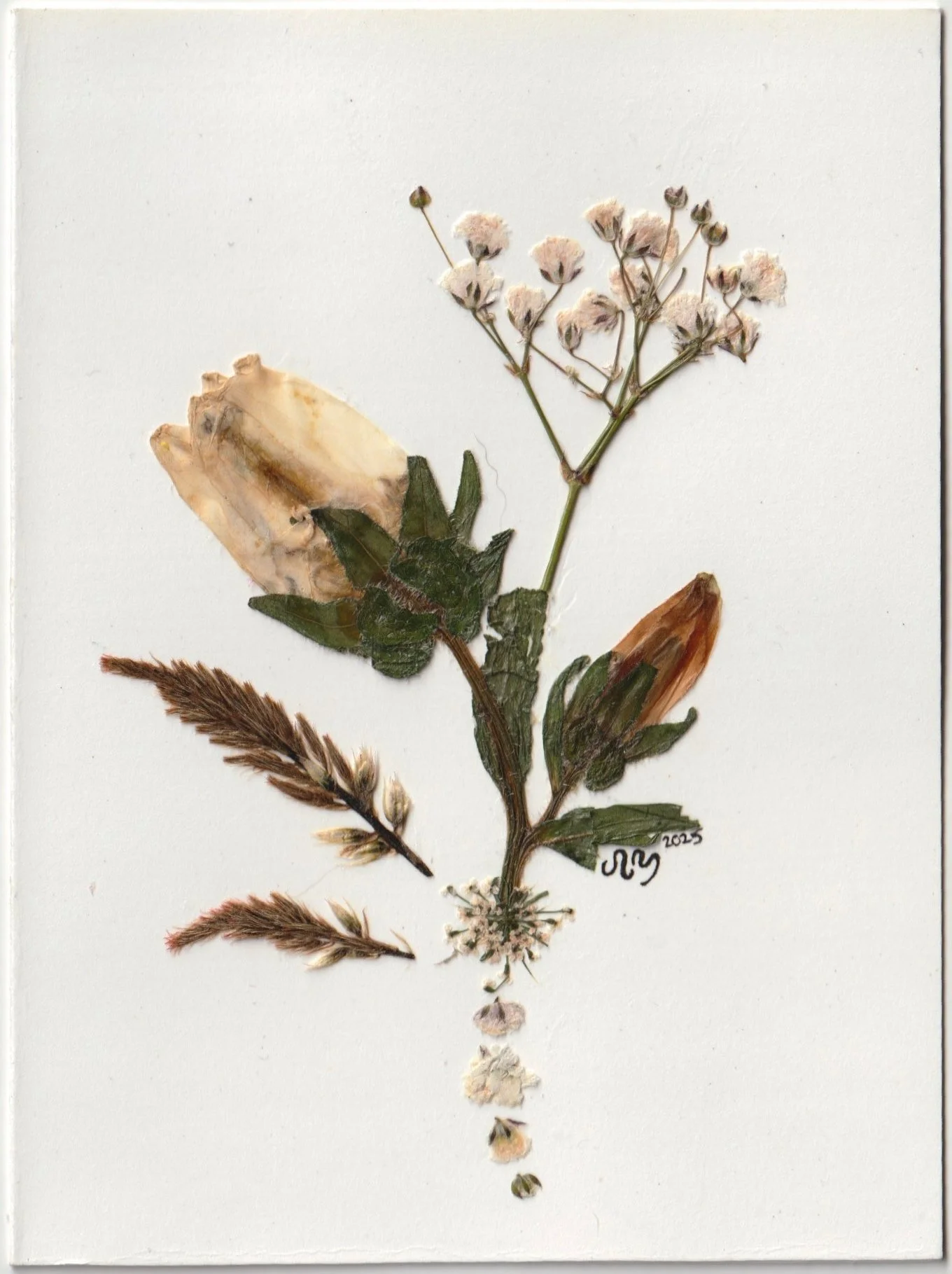 Wedding cards