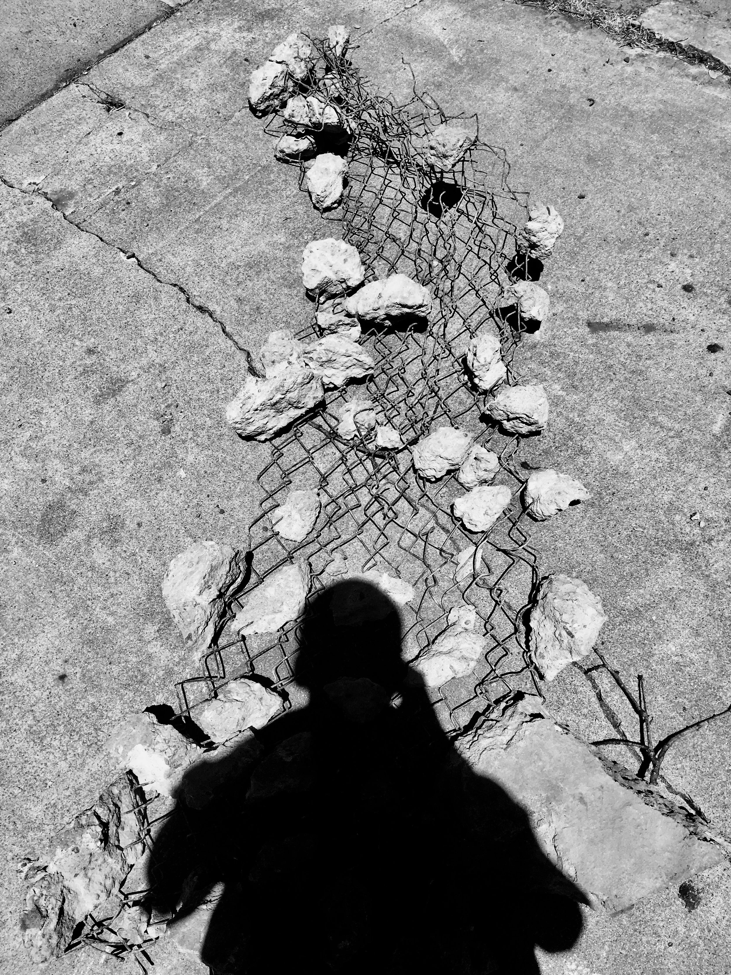 Behold, my vanquished foe...........artistic shadow placement, no?