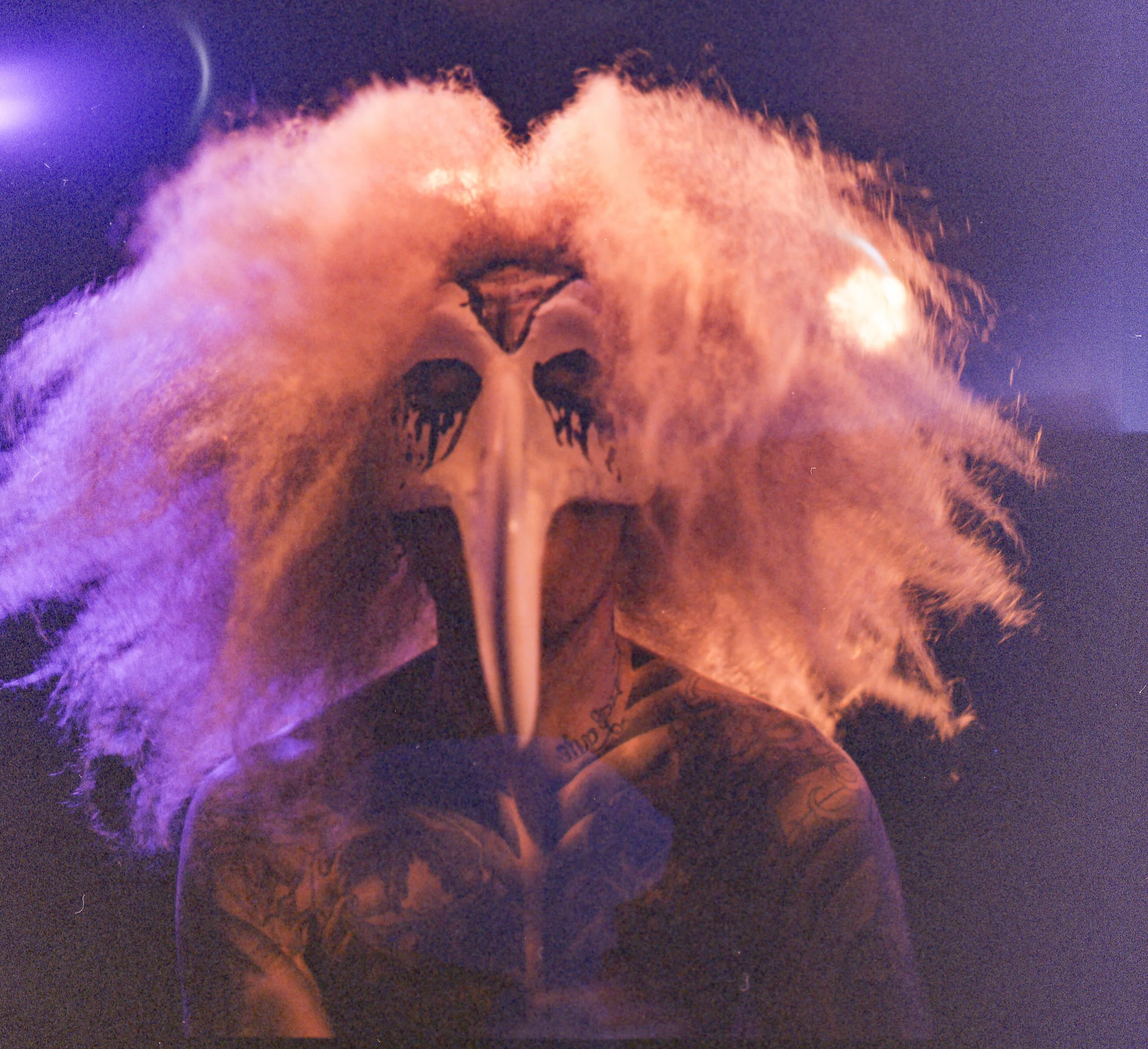 birdsworth gravvy shots034-Edit.jpg