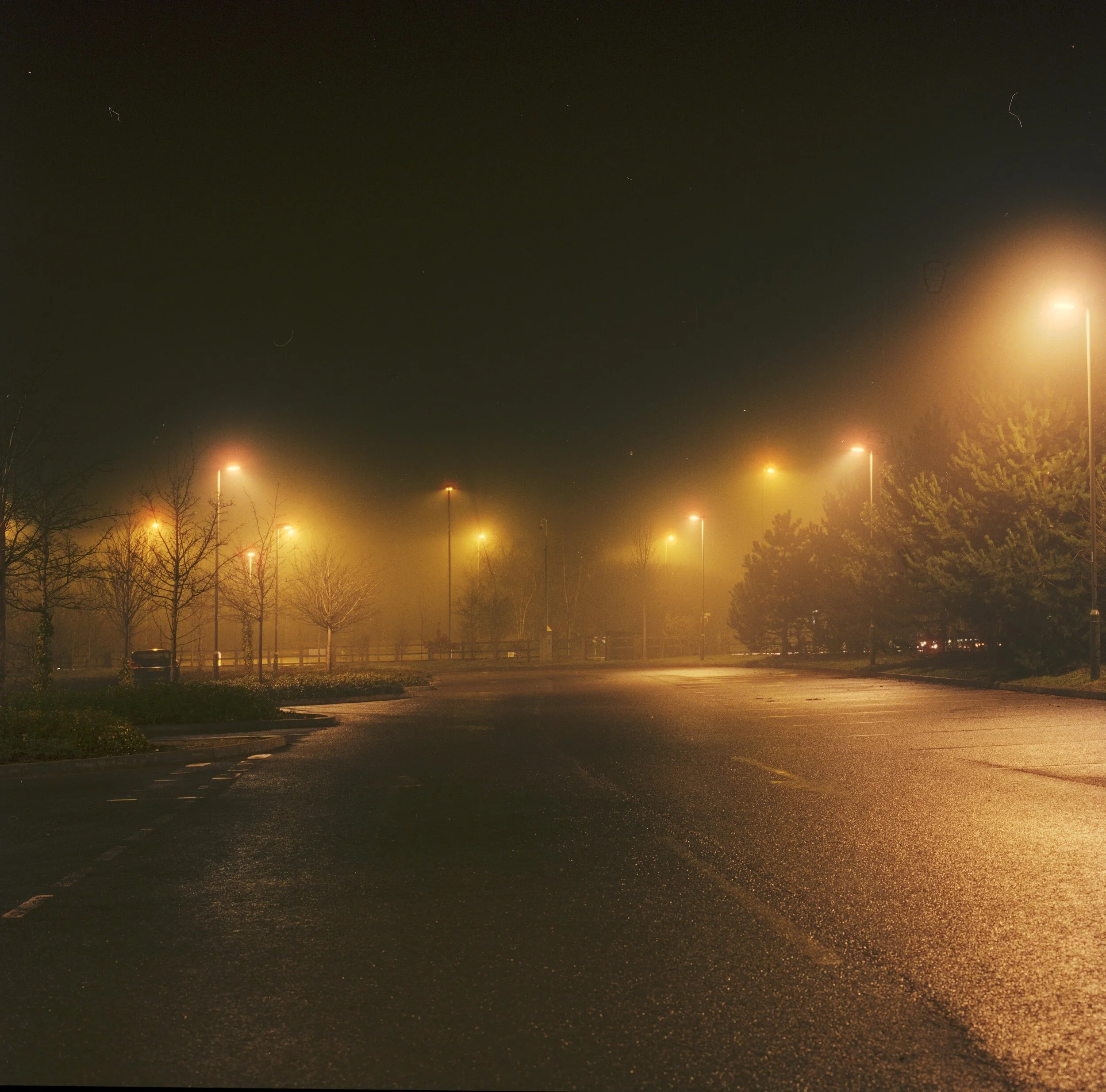 800t gford bus station on flextight 2.jpg