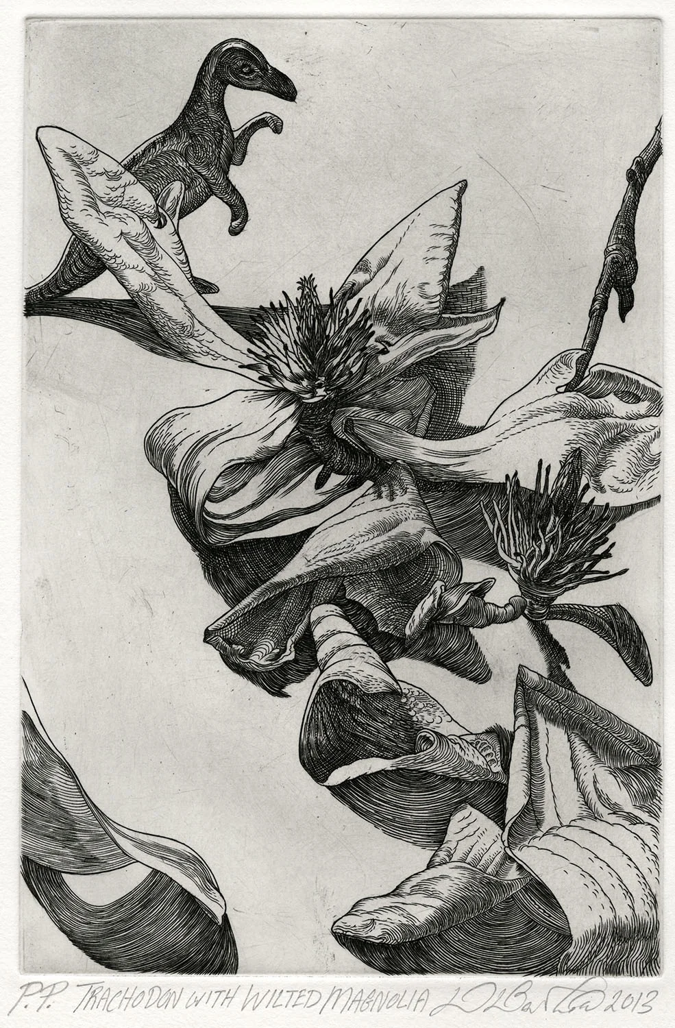 trachodon_detail.jpg