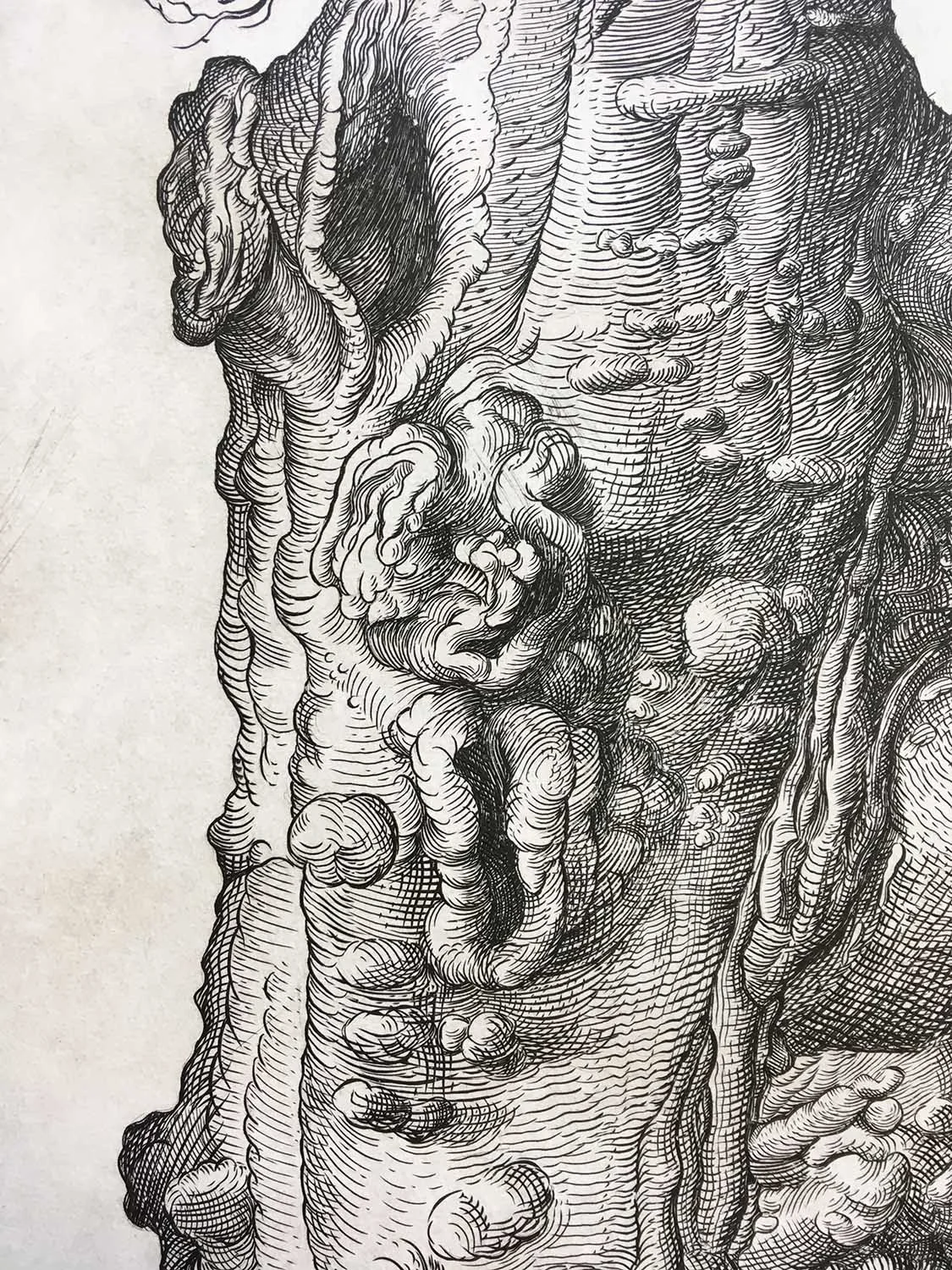 londonplane_detail1.jpg