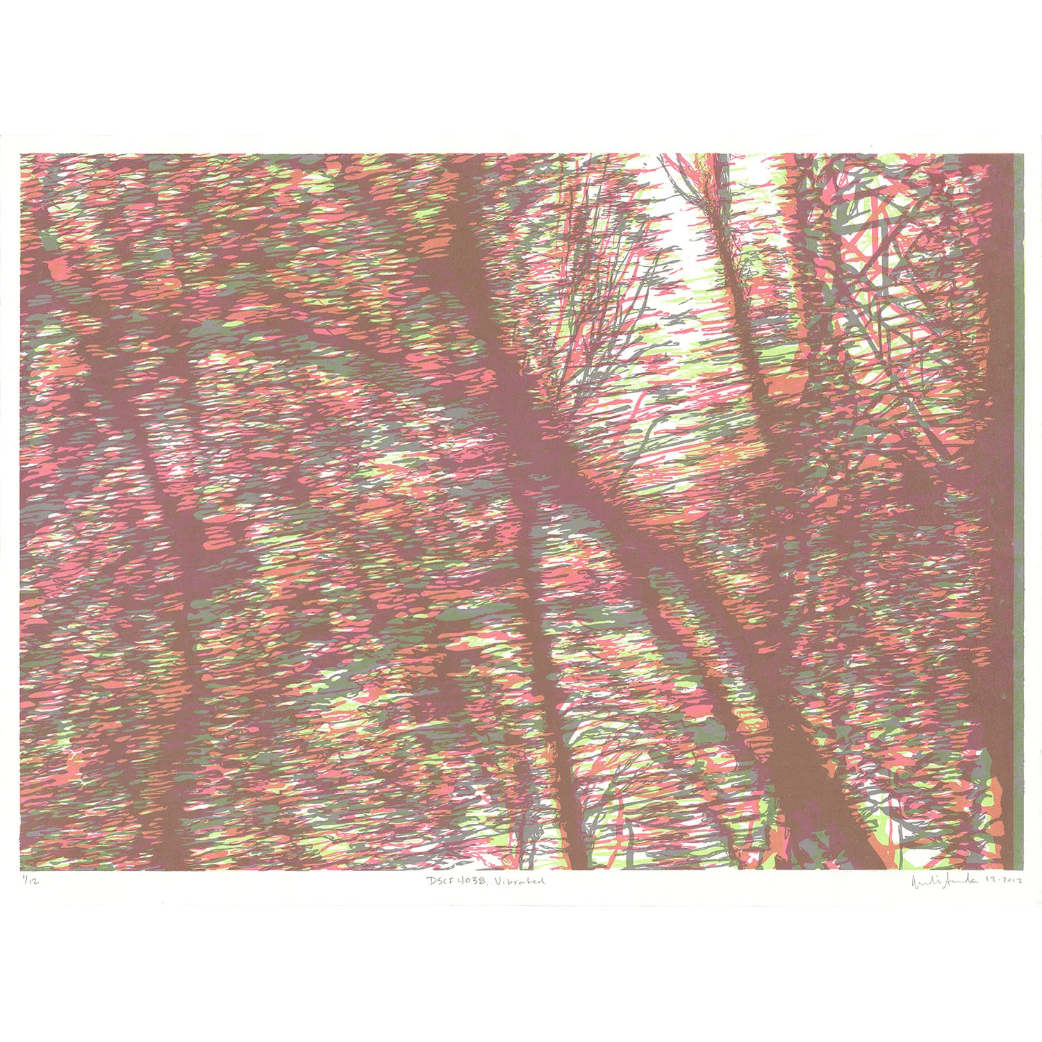 dscf4038vibrated.jpg