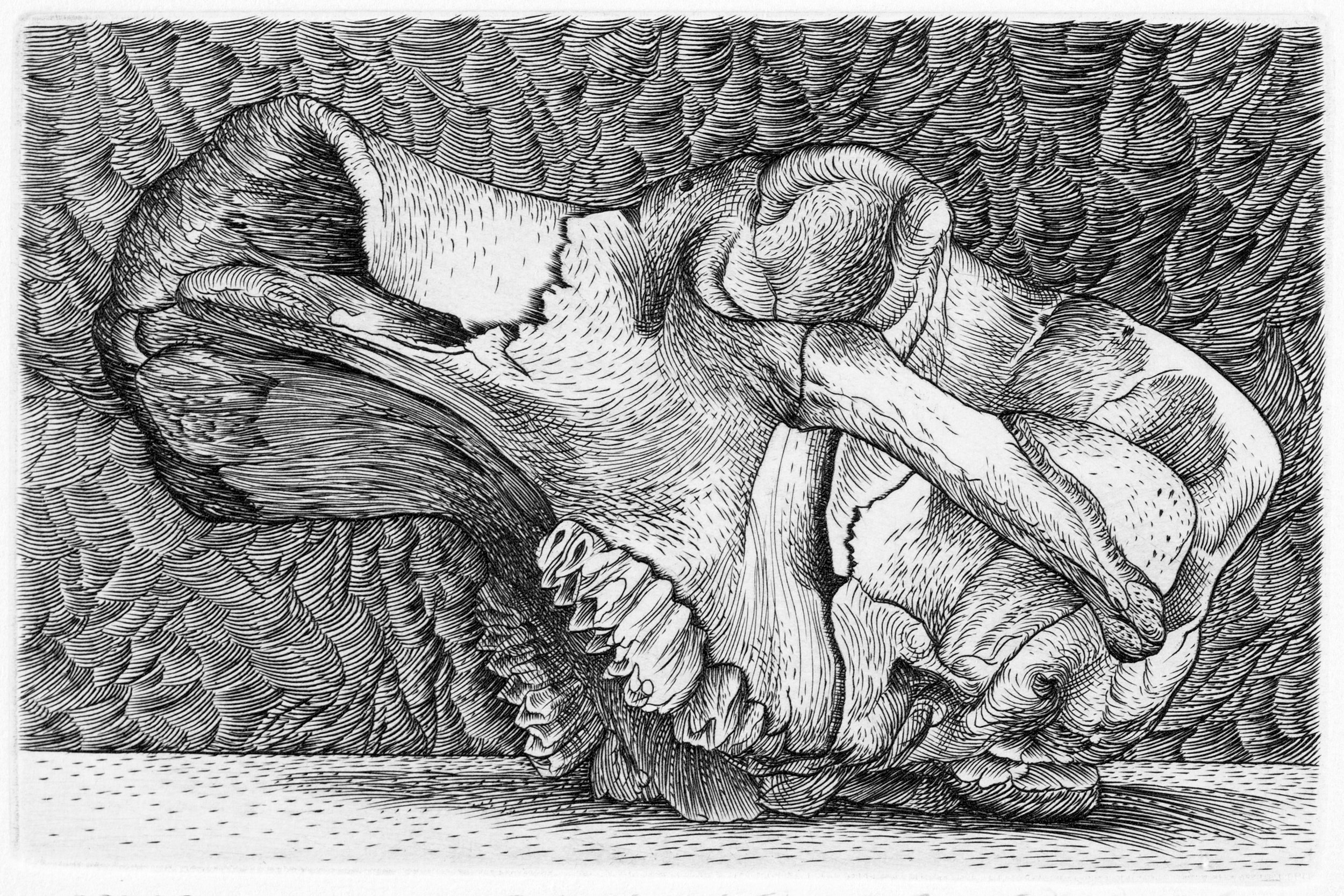Elephant Skull Drawing Elephant Skull Drawing