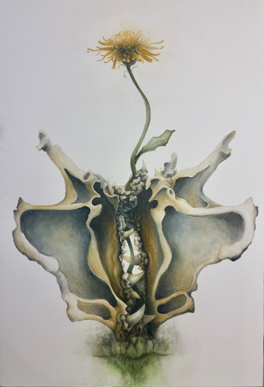  Thornless Born / WombMaw  Watercolor on board  24”x36” 