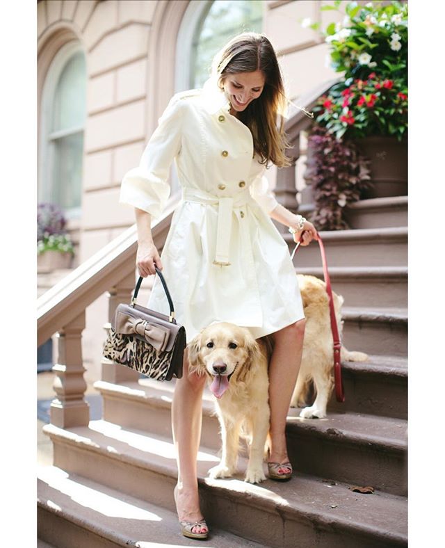 No home decor is complete without a little dog hair!
.
.
.
.
.
#interiordesignerslife #designerlife #goldenretriever #goldenretrieversofig #dogwalking #dogwalkinglife #dogsofinstagram #streetstyle #brownstone #burberrytrench #burberry #valentino #sta