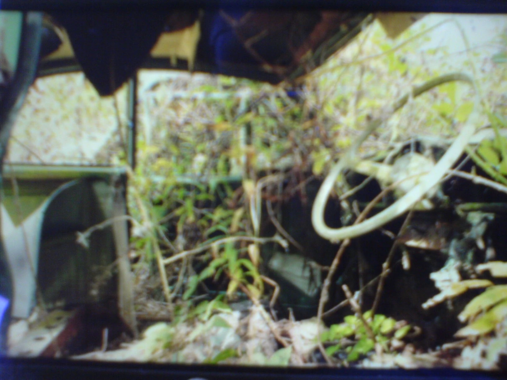 DSC00005.JPG