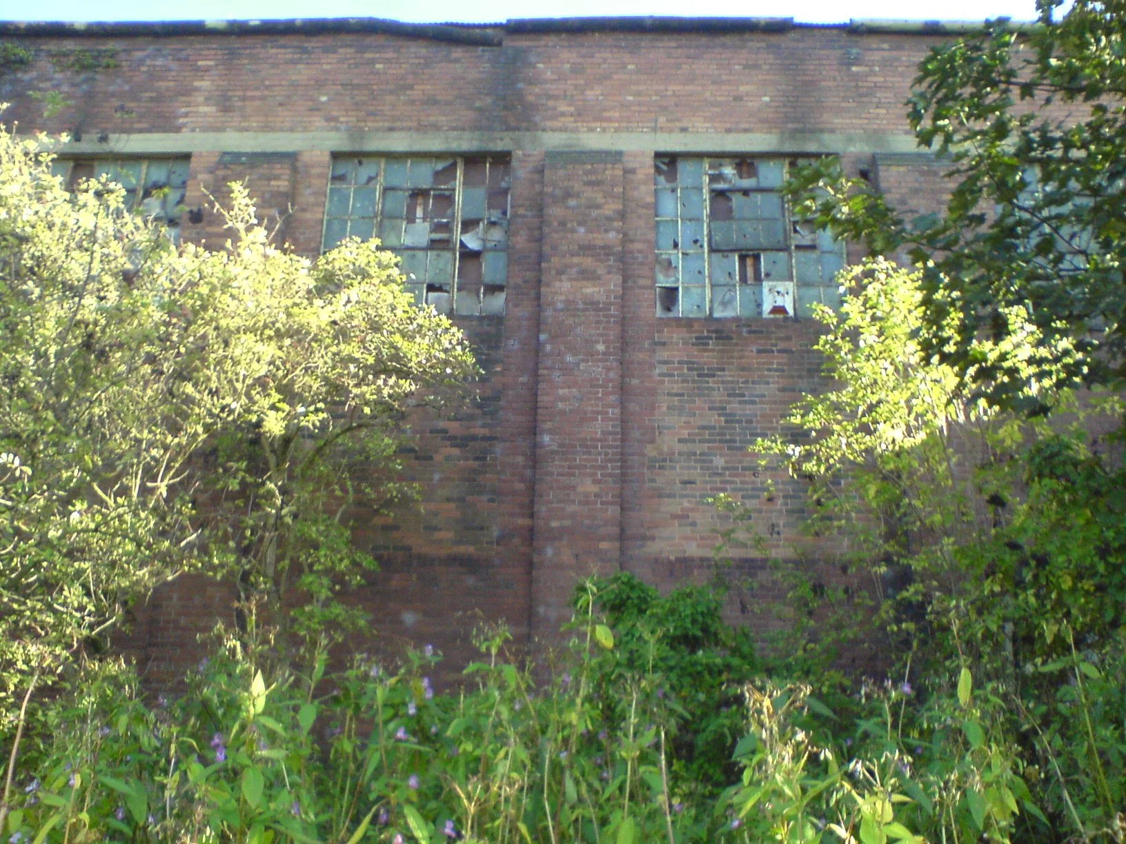 DSC00053.JPG