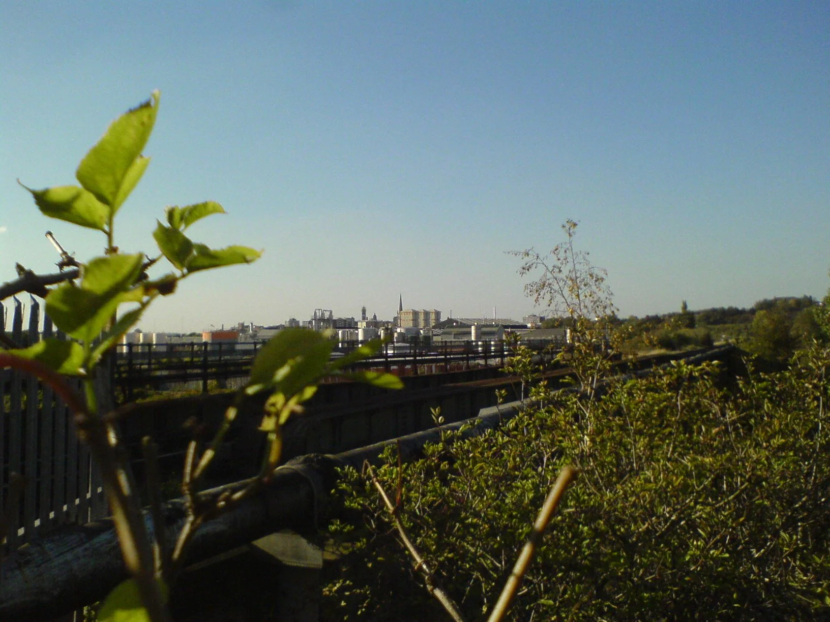 DSC00054.JPG