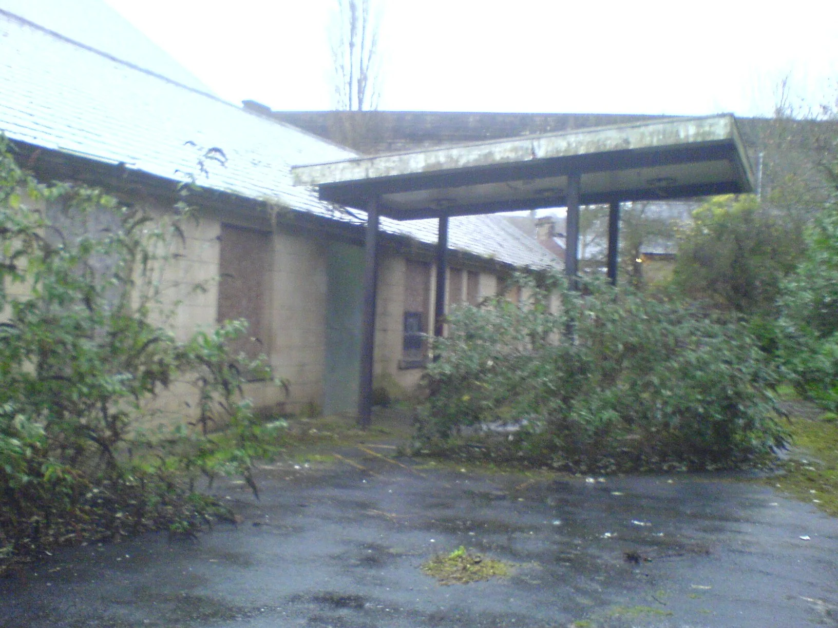 DSC00070.JPG