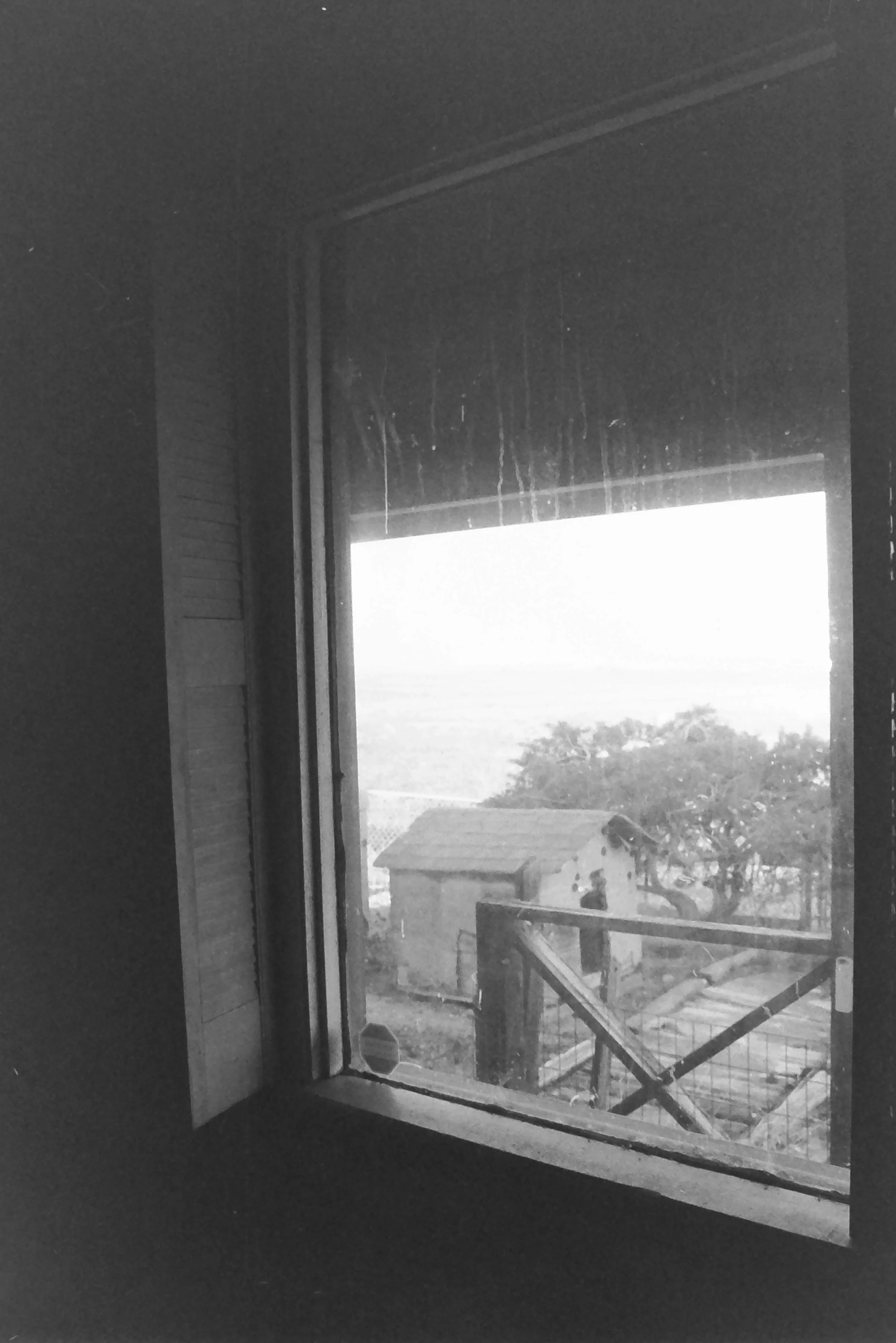 IMG00174.JPG