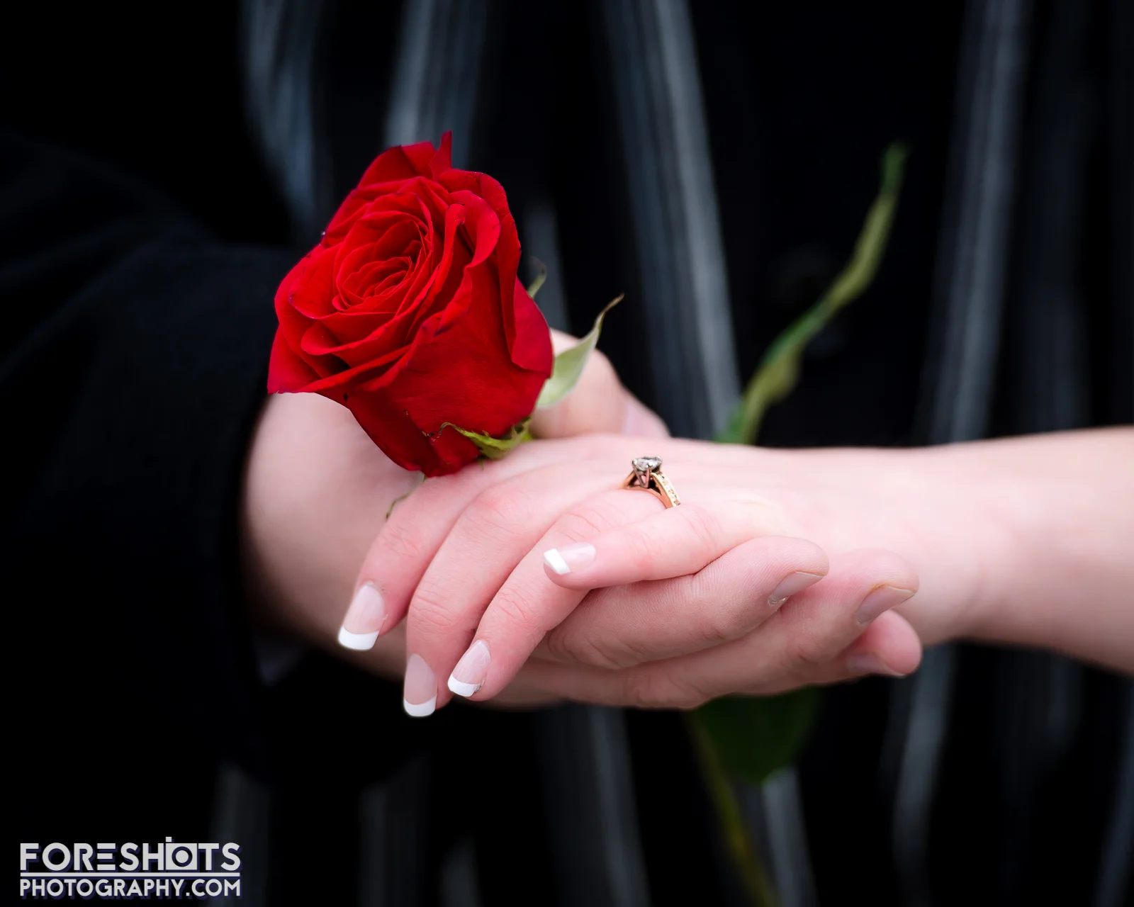 gallery-9982.jpg