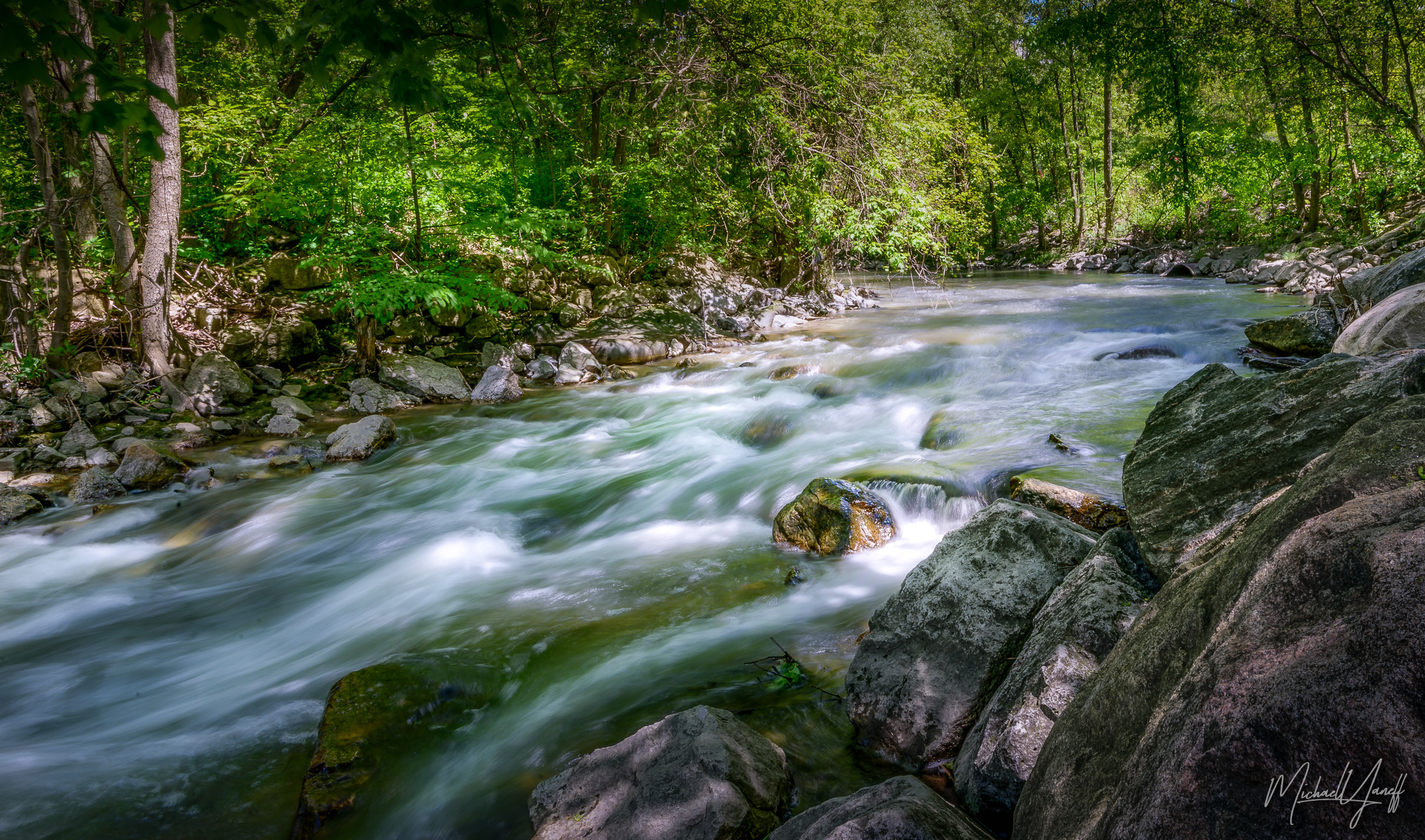 East Don Parkland Toronto.jpg