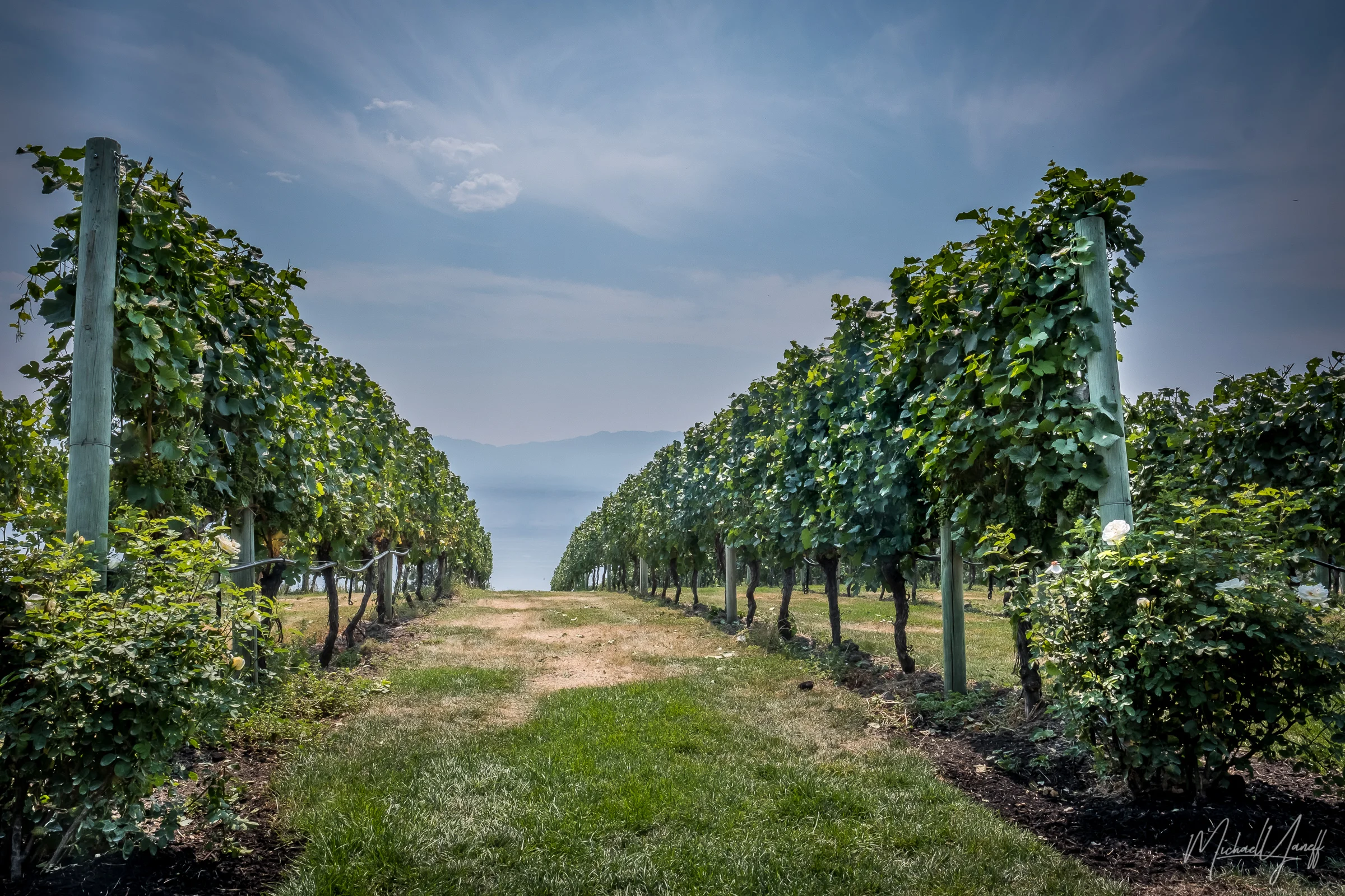 Mission Hill Family Estate Winery West Kelowna BC.jpg