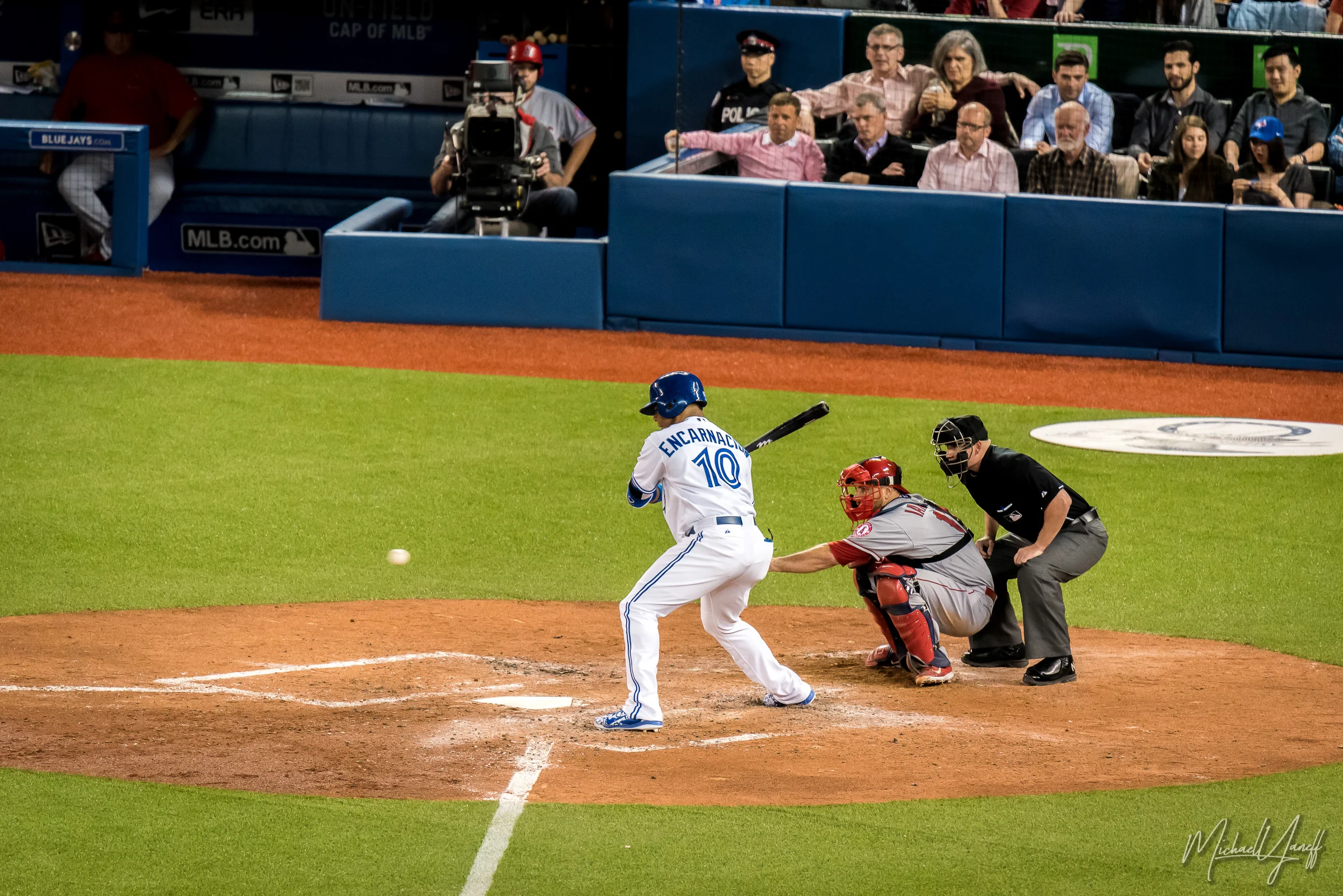 Blue Jays Baseball - Edwin Encarnacion (2015).jpg