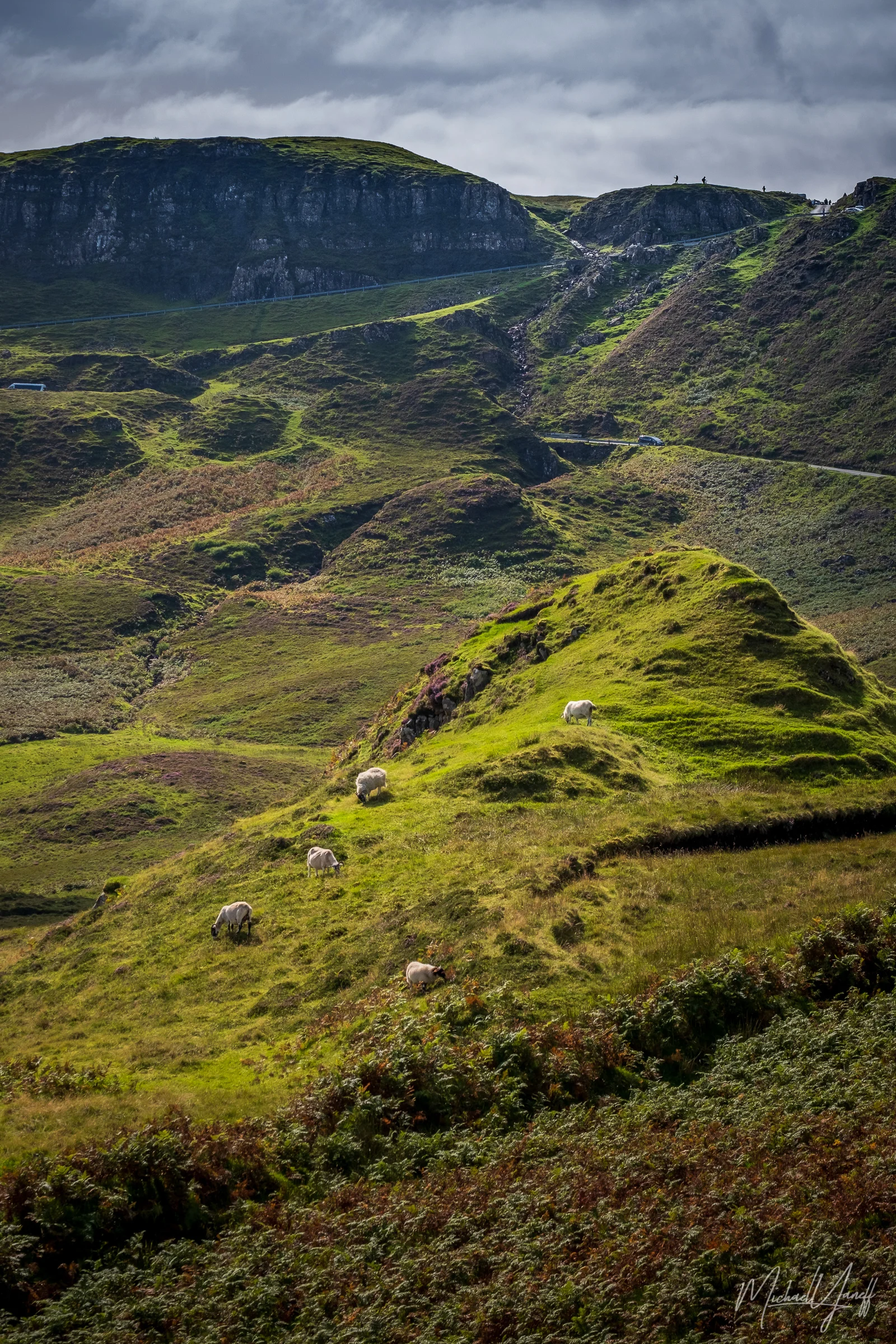 Sheep of Skye.jpg