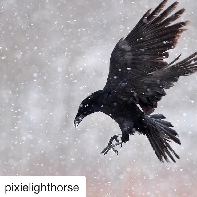 #Repost @pixielighthorse (@get_repost)
・・・
The hardest thing to do is love what we hate about ourselves. 
This new year, take an inventory of what you&rsquo;re still being rough on yourself for, what you&rsquo;re avoiding and resenting. 
Clear the wa