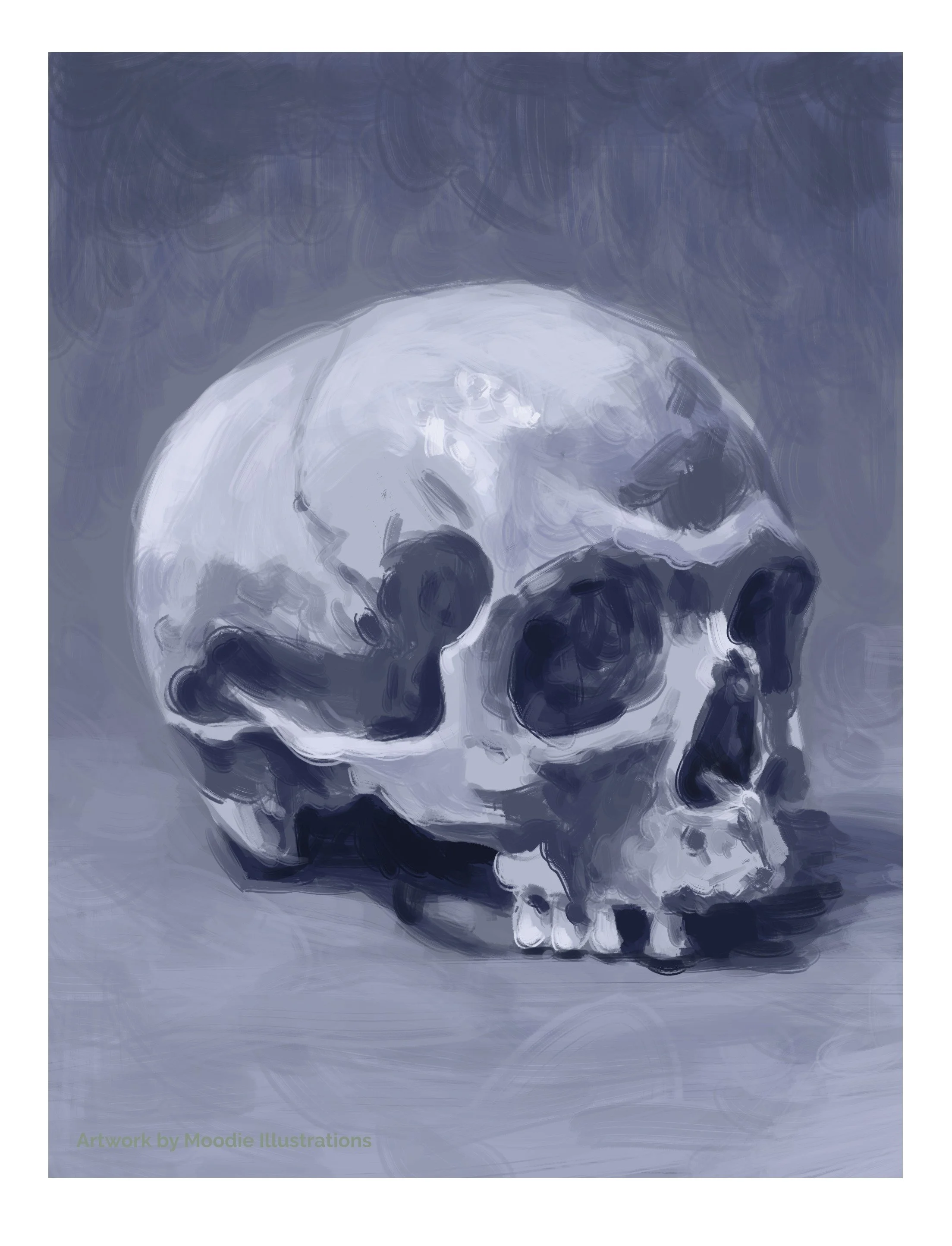 2025-01-11_Skull Study.jpg