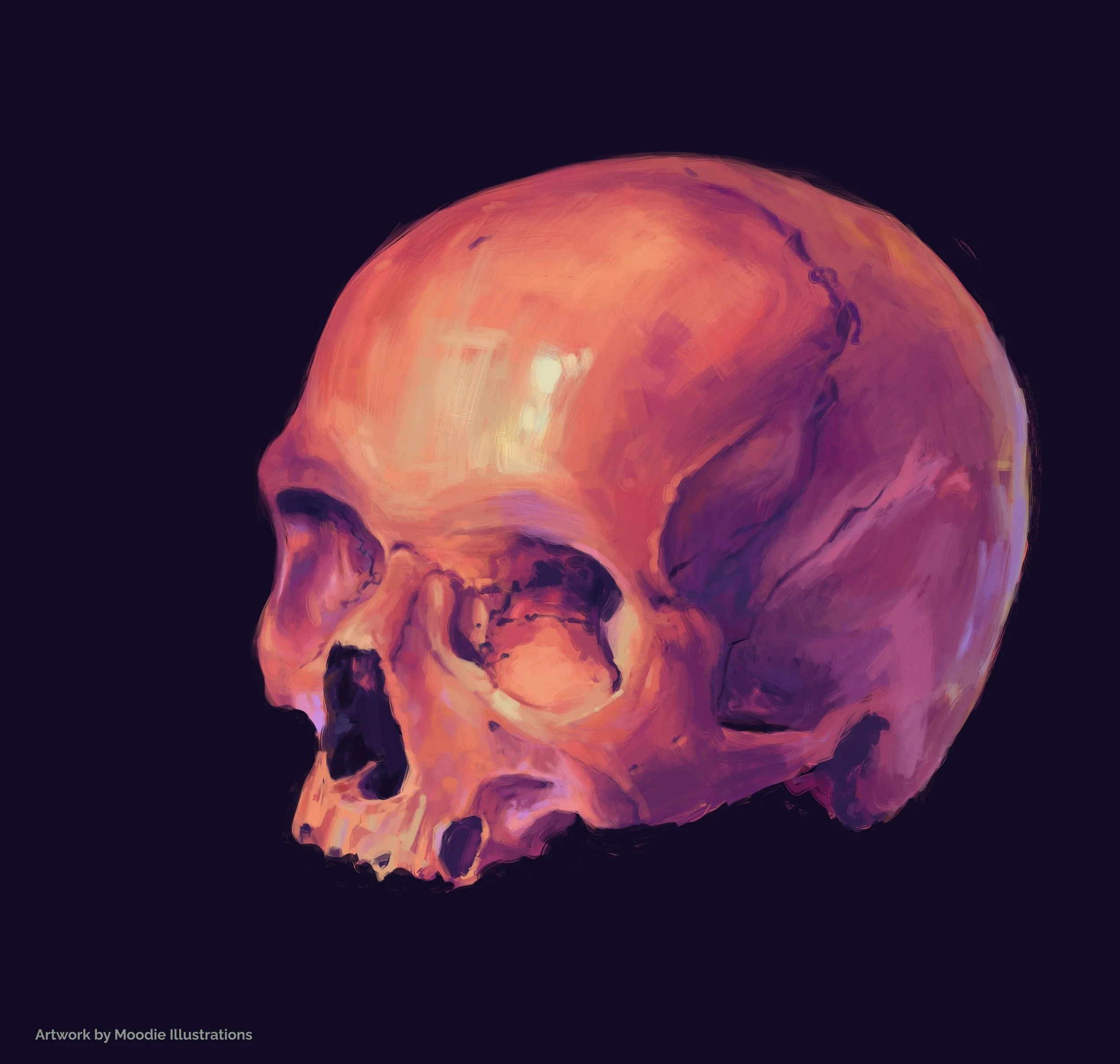 2025-06-14_Red Skull Study.jpg