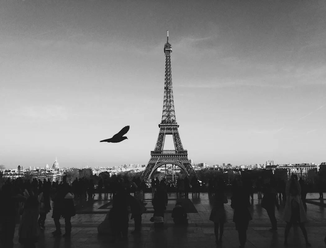 belle tour eiffel.jpg