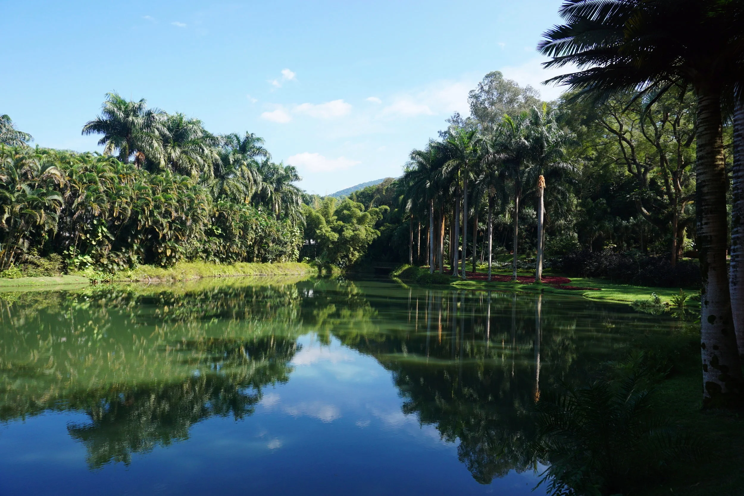 The most magical museum.