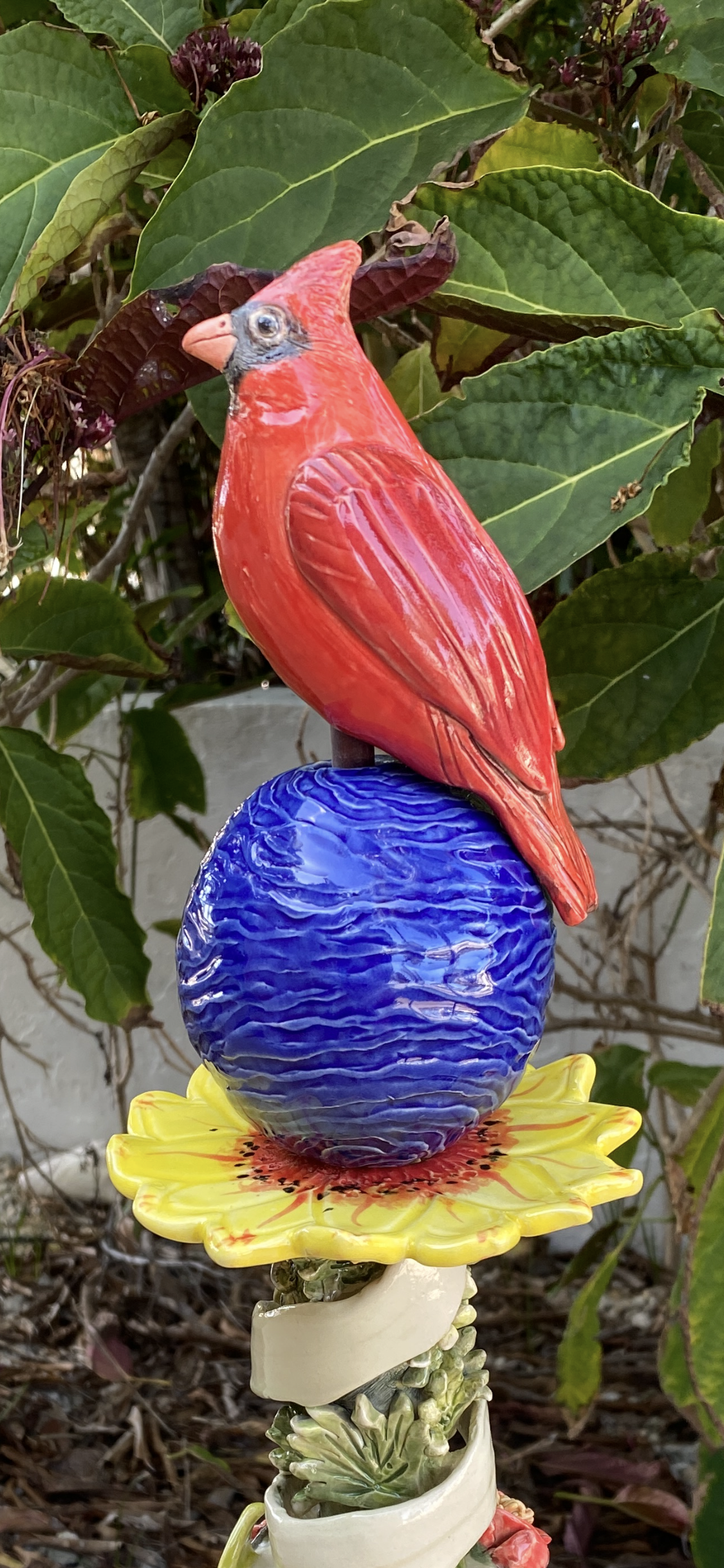 IMG_8792.PNG