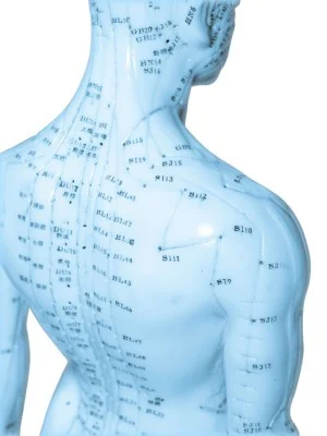 body chart.jpg