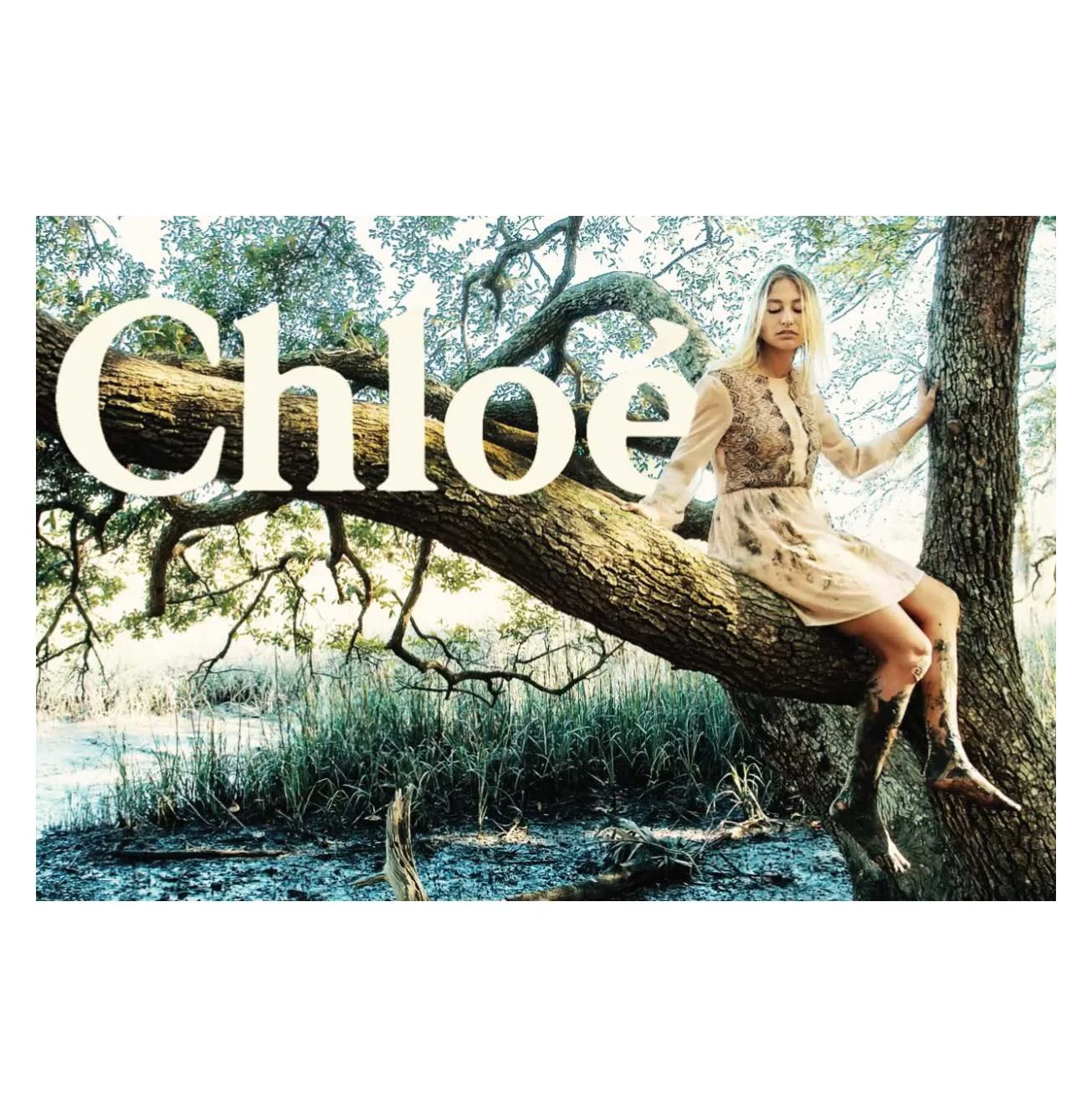 Chloe.jpg