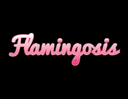 flamingosisstuff-01.jpg