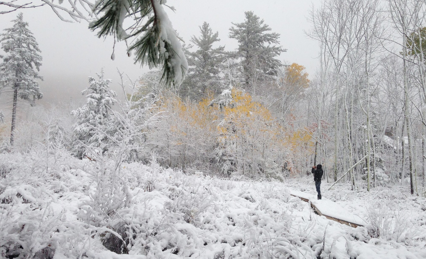 EM_aspens_Fallsnow_1400x850.jpg