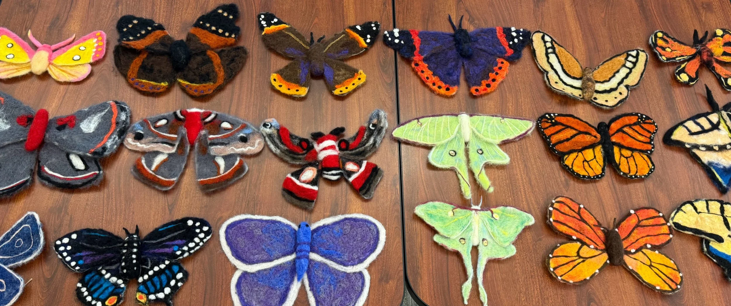 Creating Felted Butterflies and Moths with Mallory Zondag