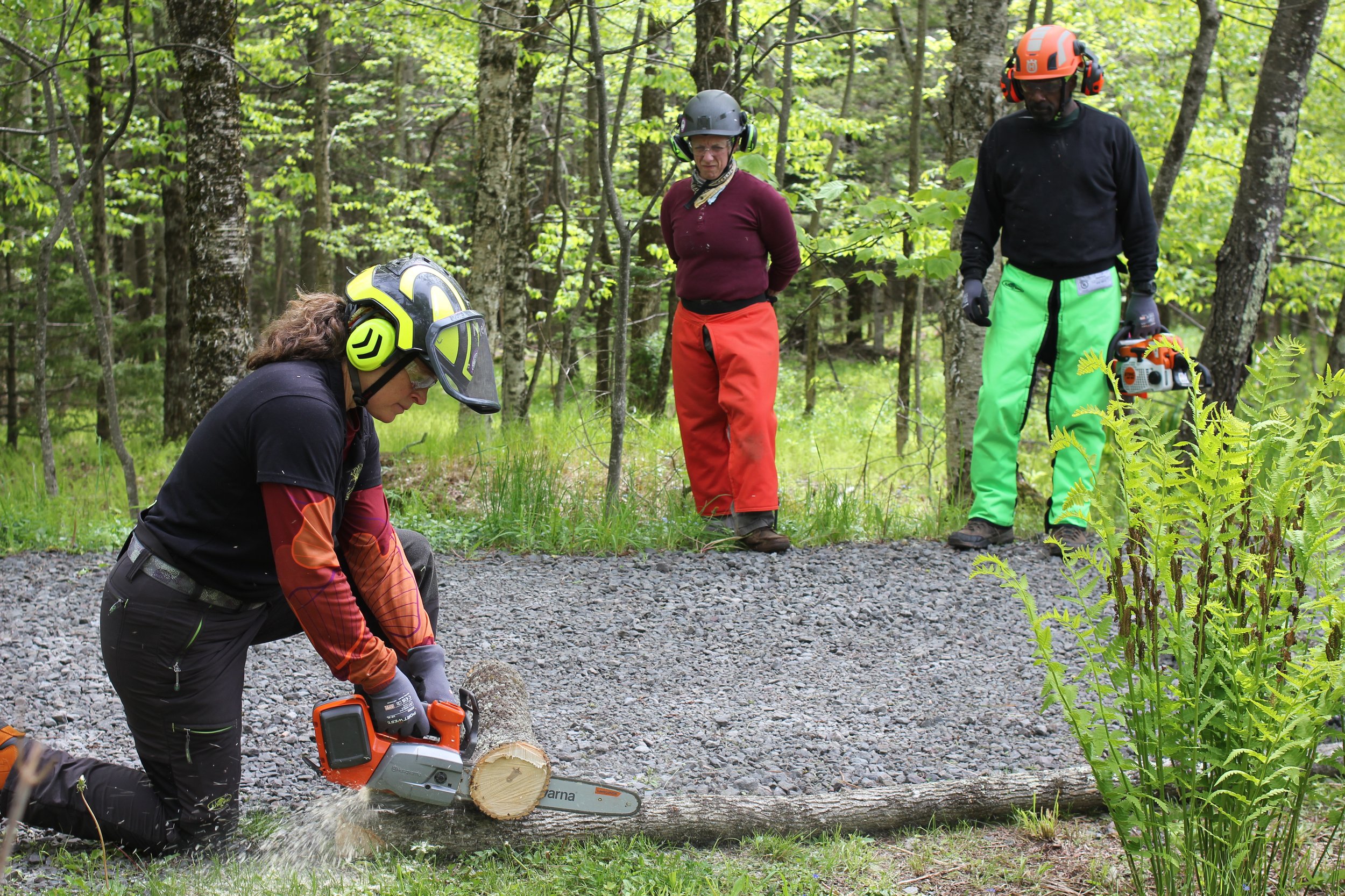 Chainsaw Safety Seminar Level 2