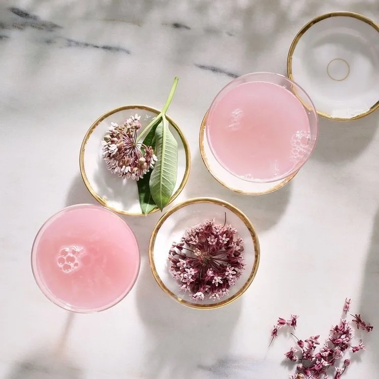 Wild Mixology with Laura Chávez Silverman