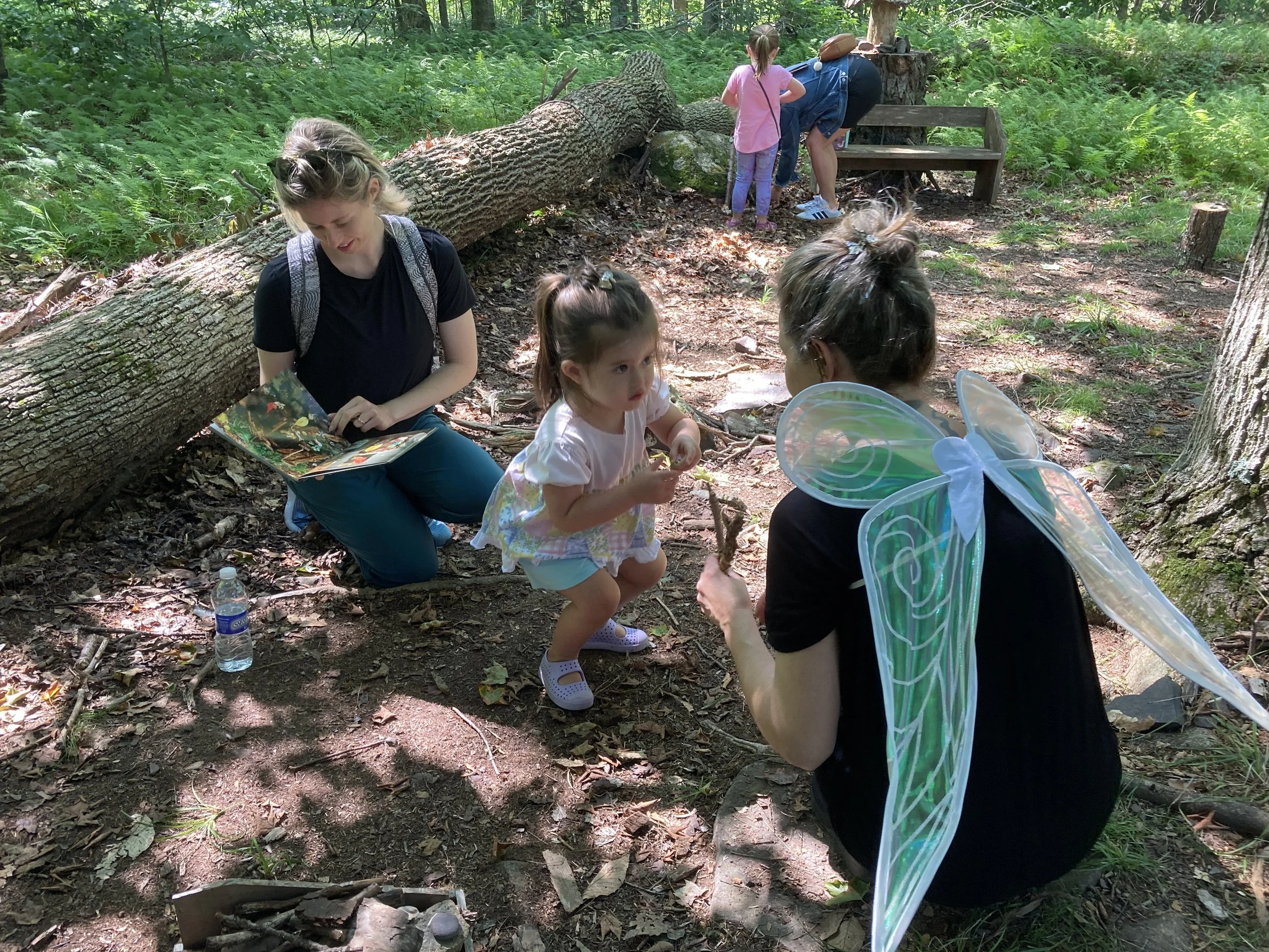 Fairy Garden Freshening Up Day!