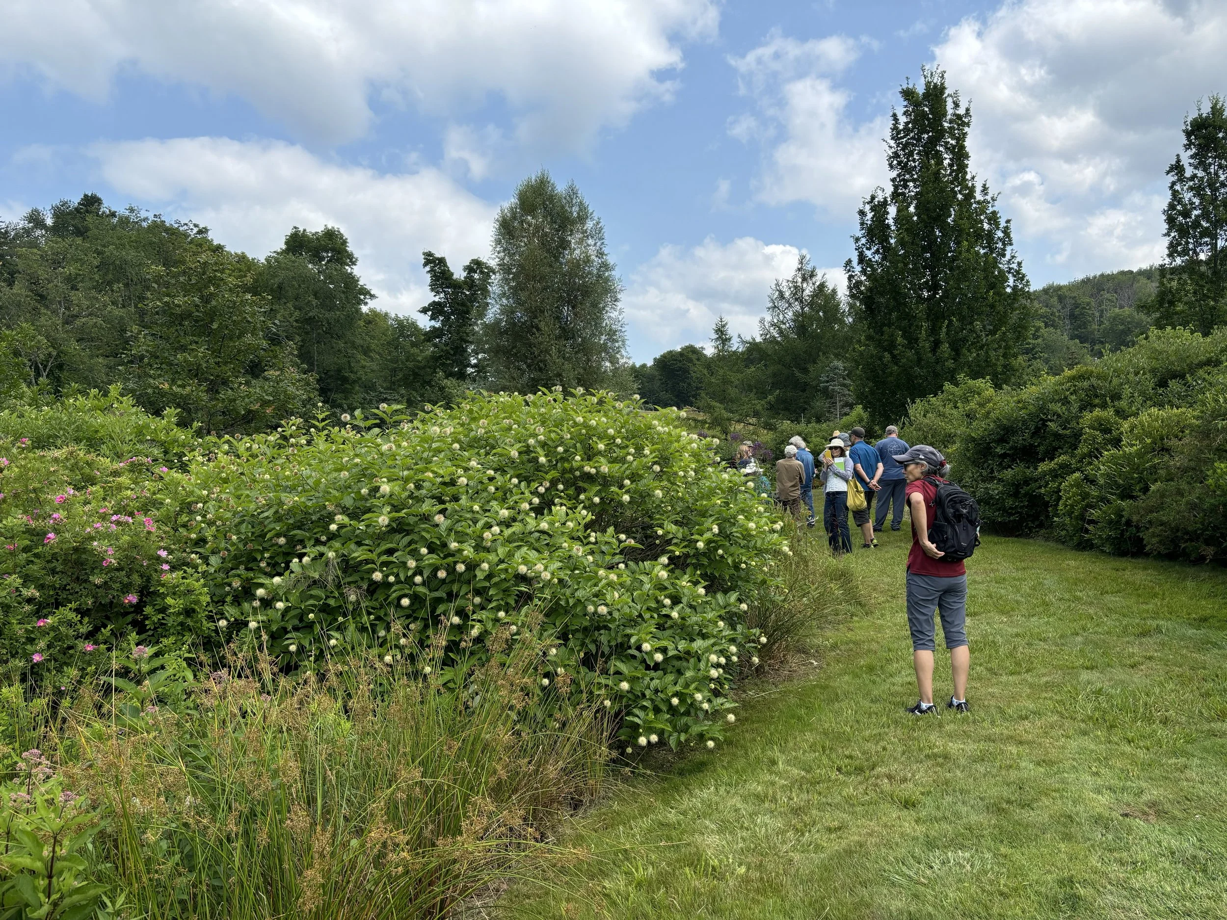 Tour Mountain Top Arboretum (as part of the "What's Out There Weekend" event)!