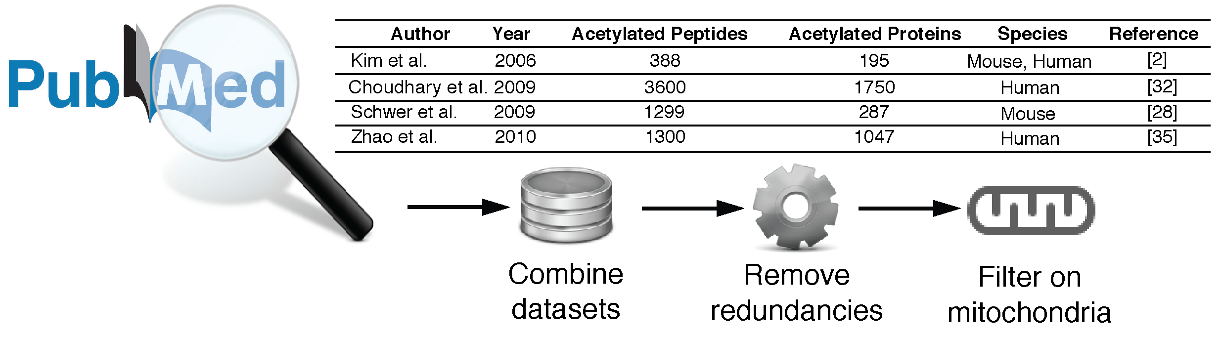 Fig2a.png