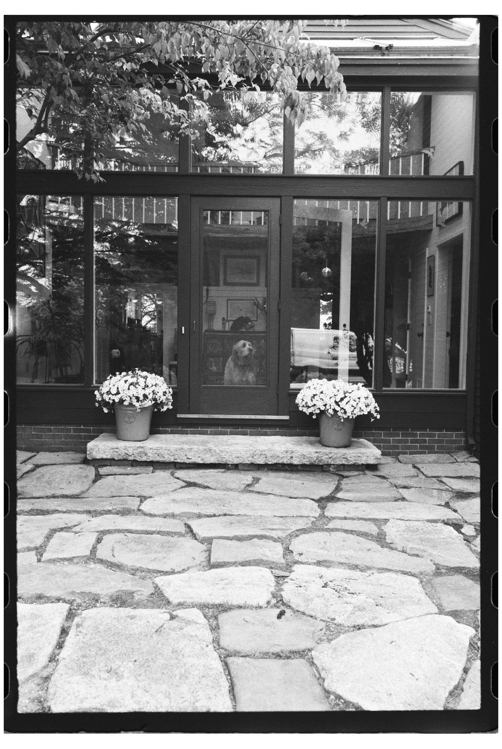 maine-wedding-photographer-32.jpg