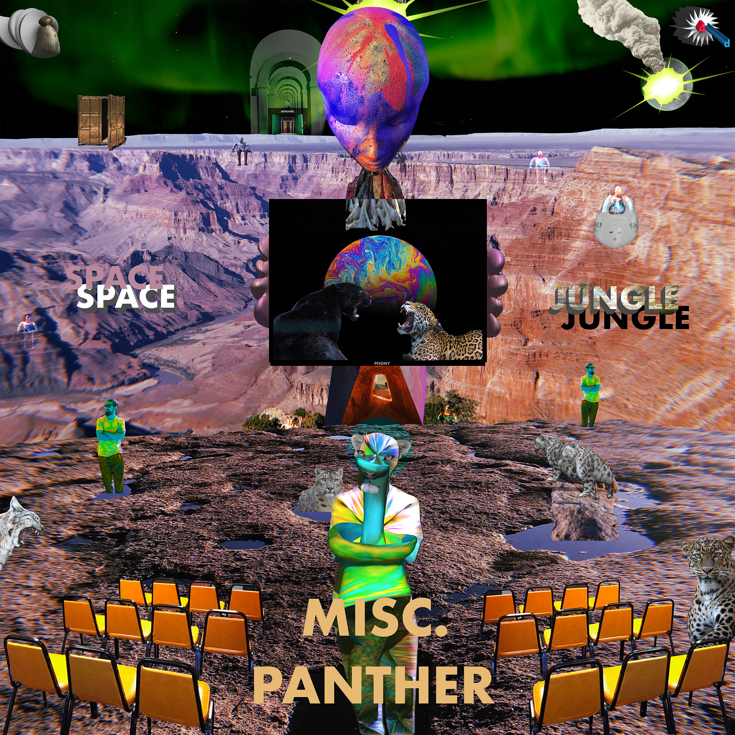 MISC PANTHER SPACE JUNGLE SQUARESPACE COVER.png