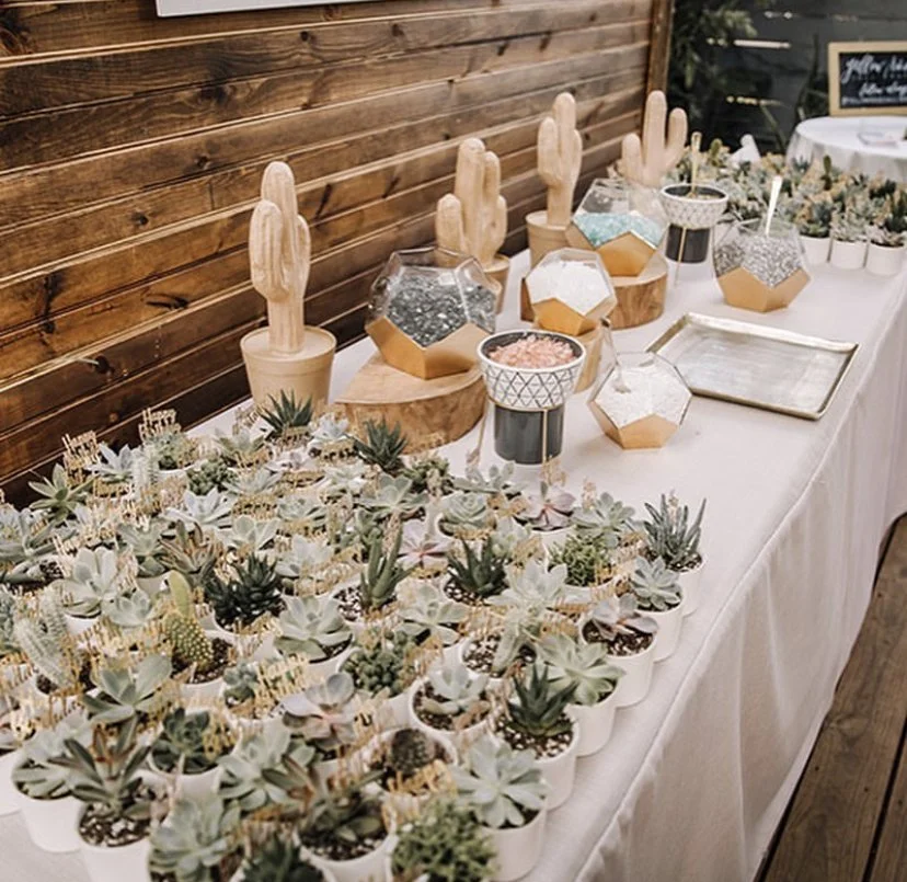 Succulent Bar.jpg