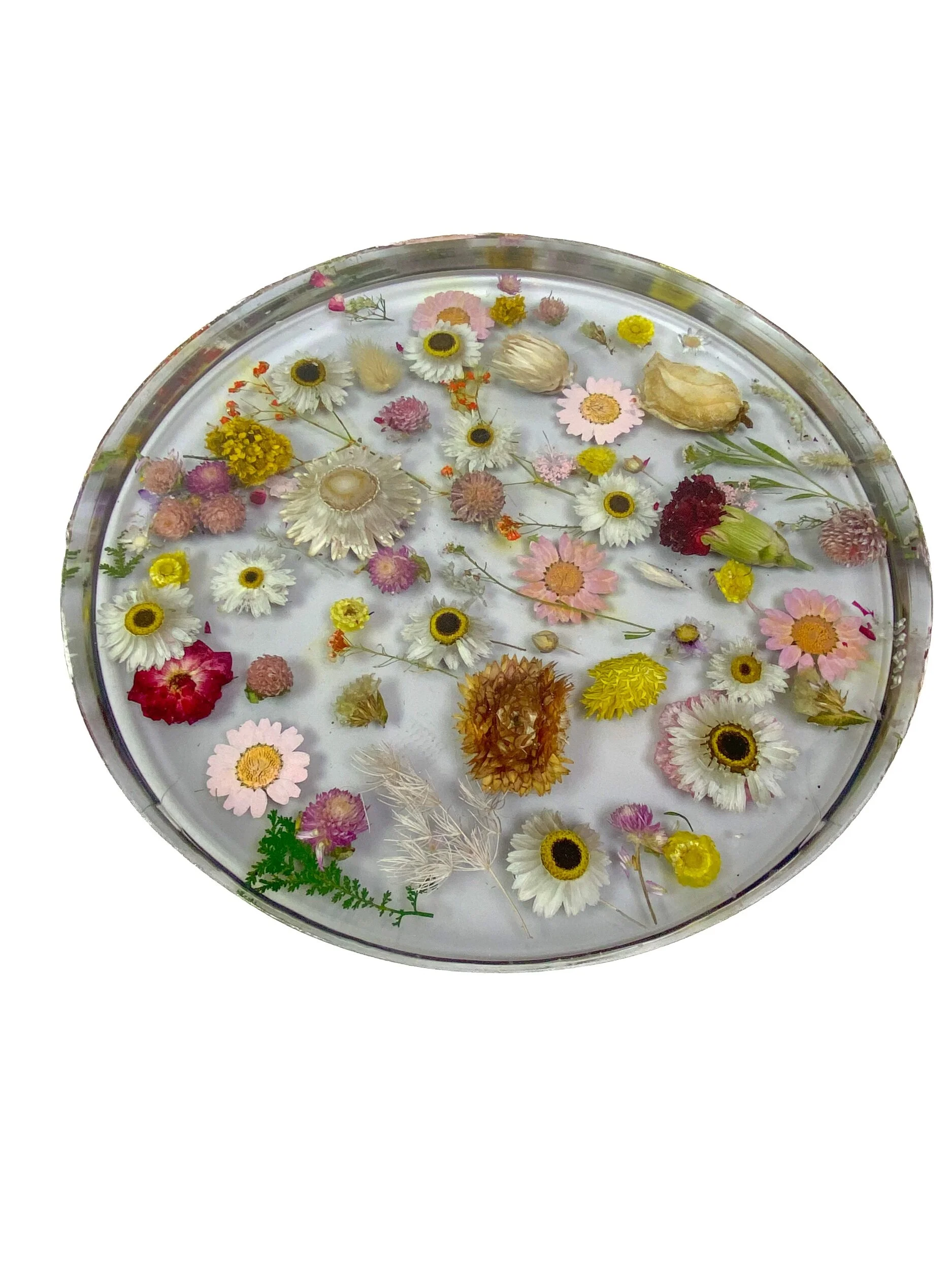 F63A06DA-3795-416D-AAC5-6A879298C2F0