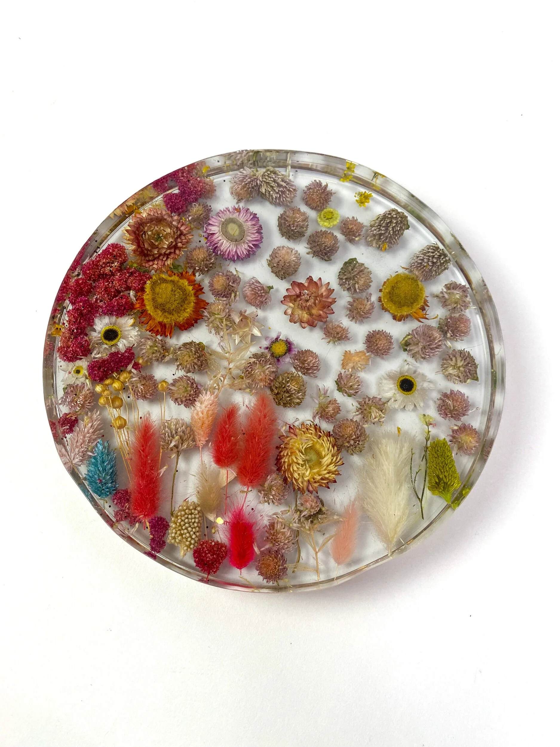 01493063-75F0-4871-A90B-9F0F0CD7F6E4