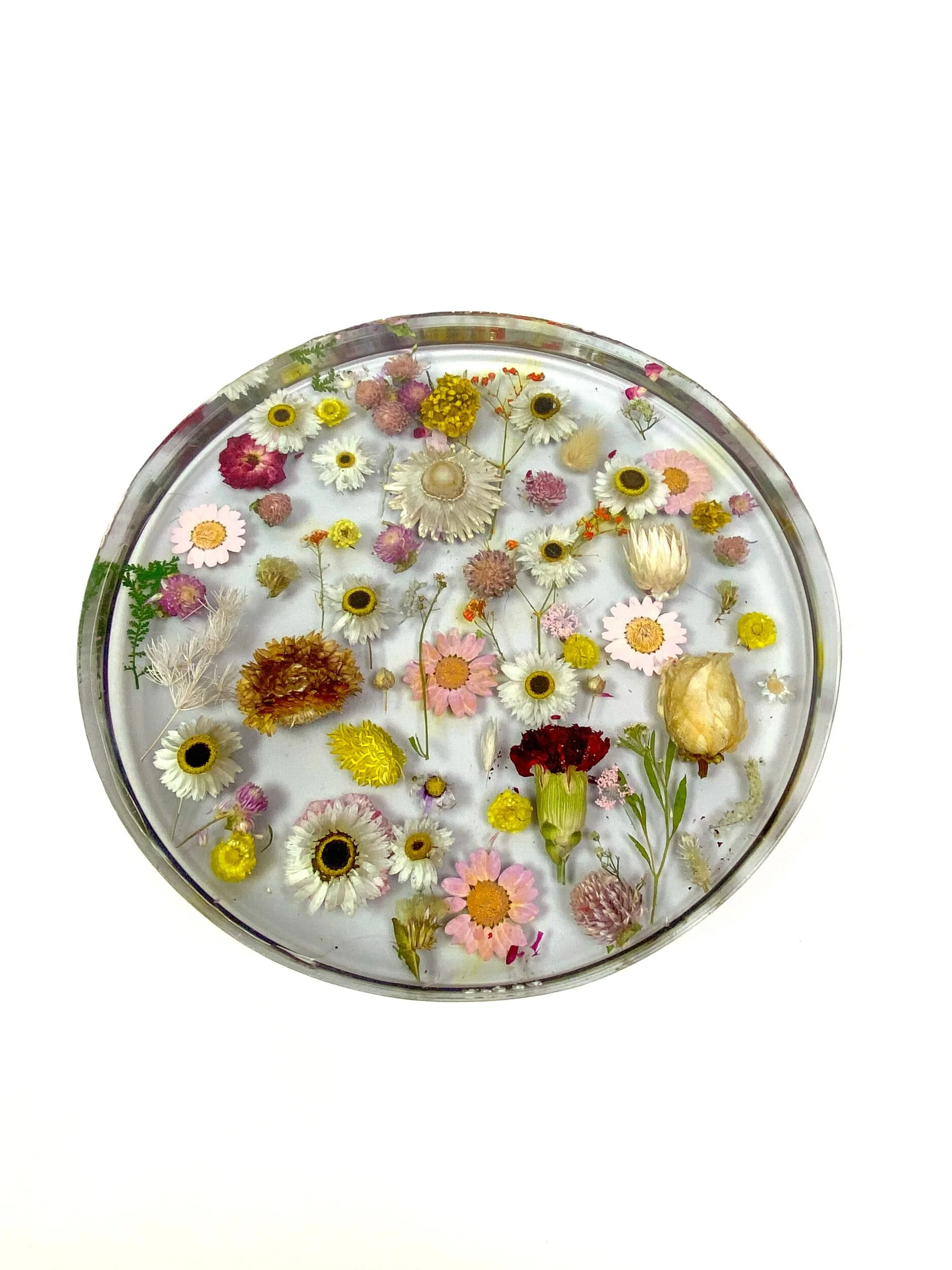 A86278F9-A836-4B02-9493-A622B7A982F7