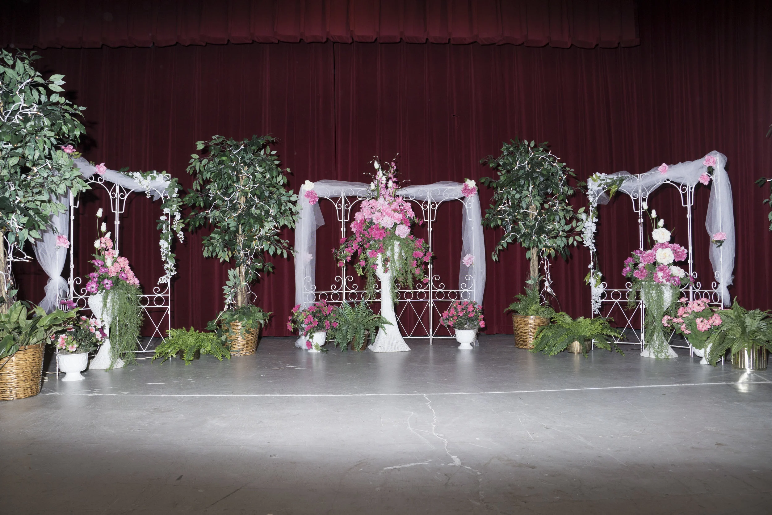 DSC07981.jpg