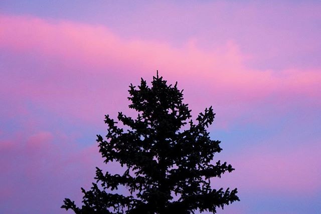 Stand tall.