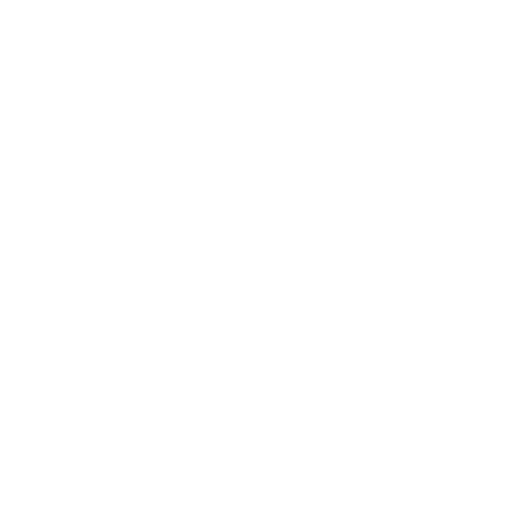 Surflay-Logo white web.png